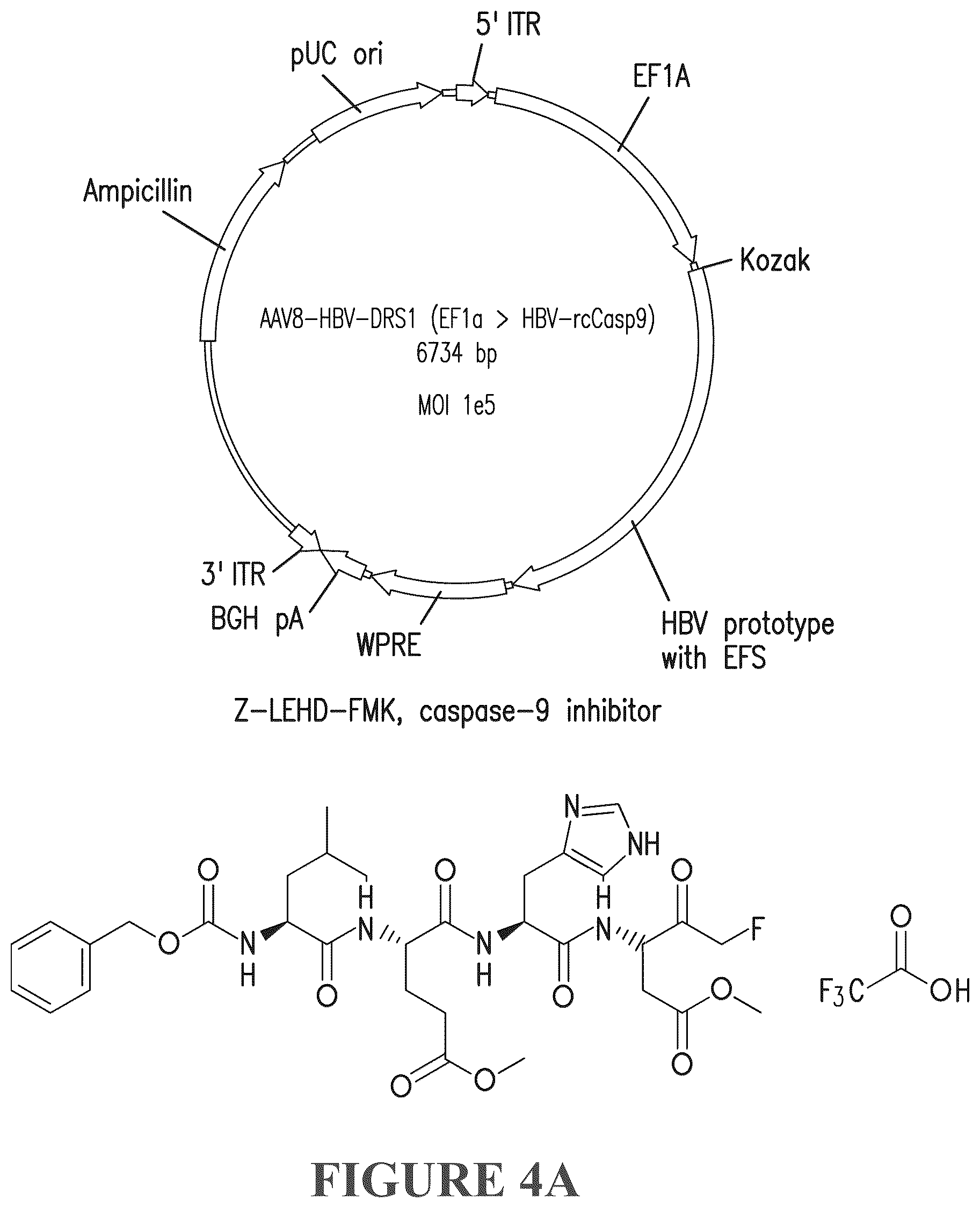 Patent US12319714 Figure 7 – Compositions and methods for treating viral infections
