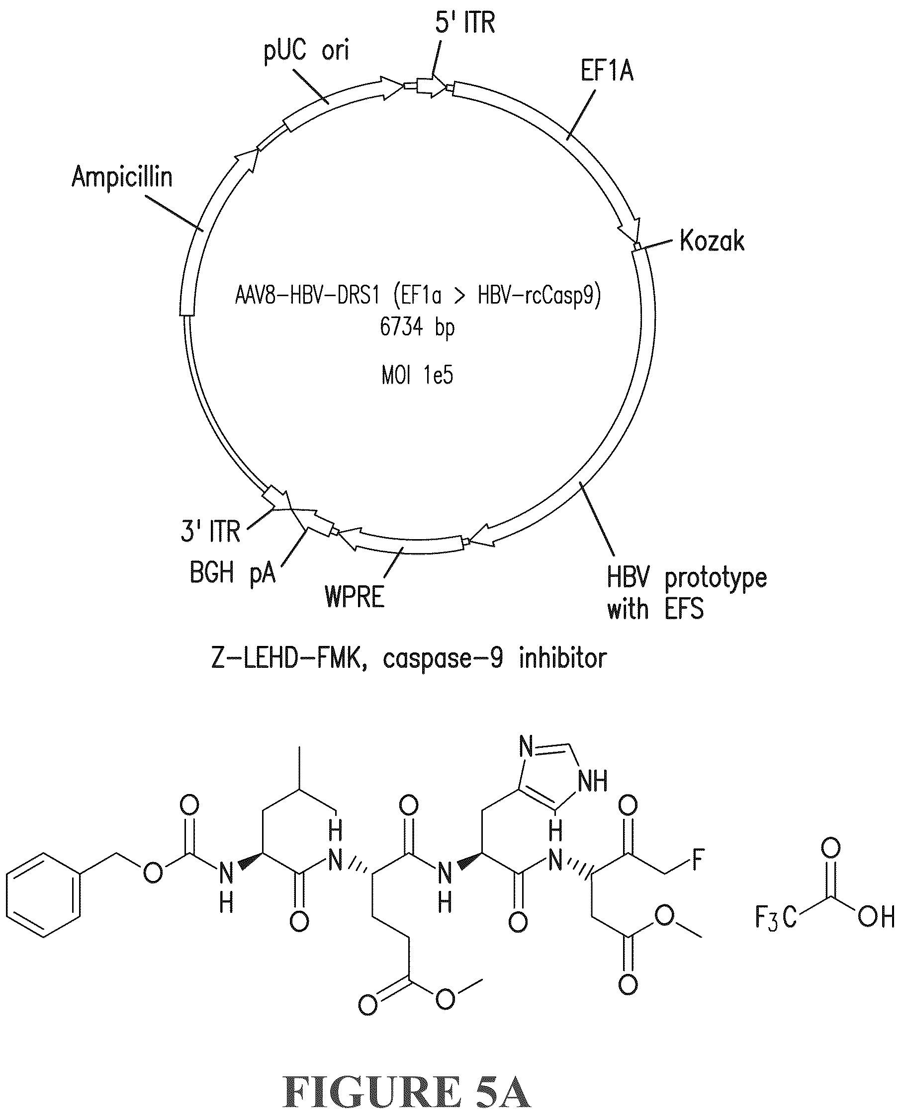 Patent US12319714 Figure 12 – Compositions and methods for treating viral infections
