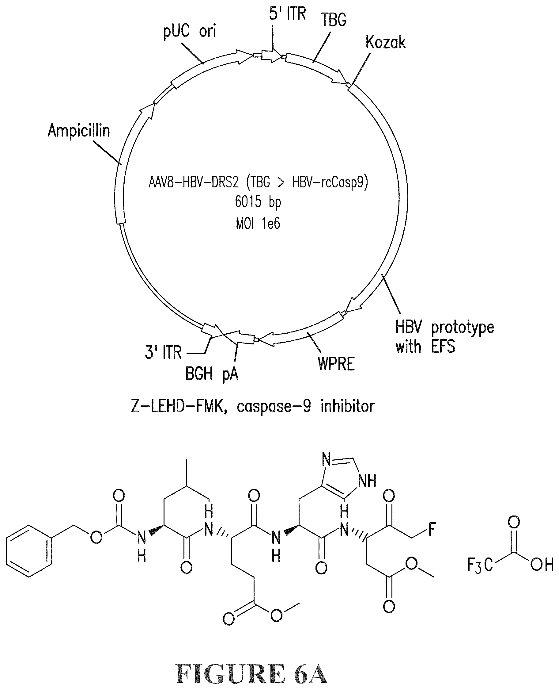 Patent US12319714 Figure 14 – Compositions and methods for treating viral infections