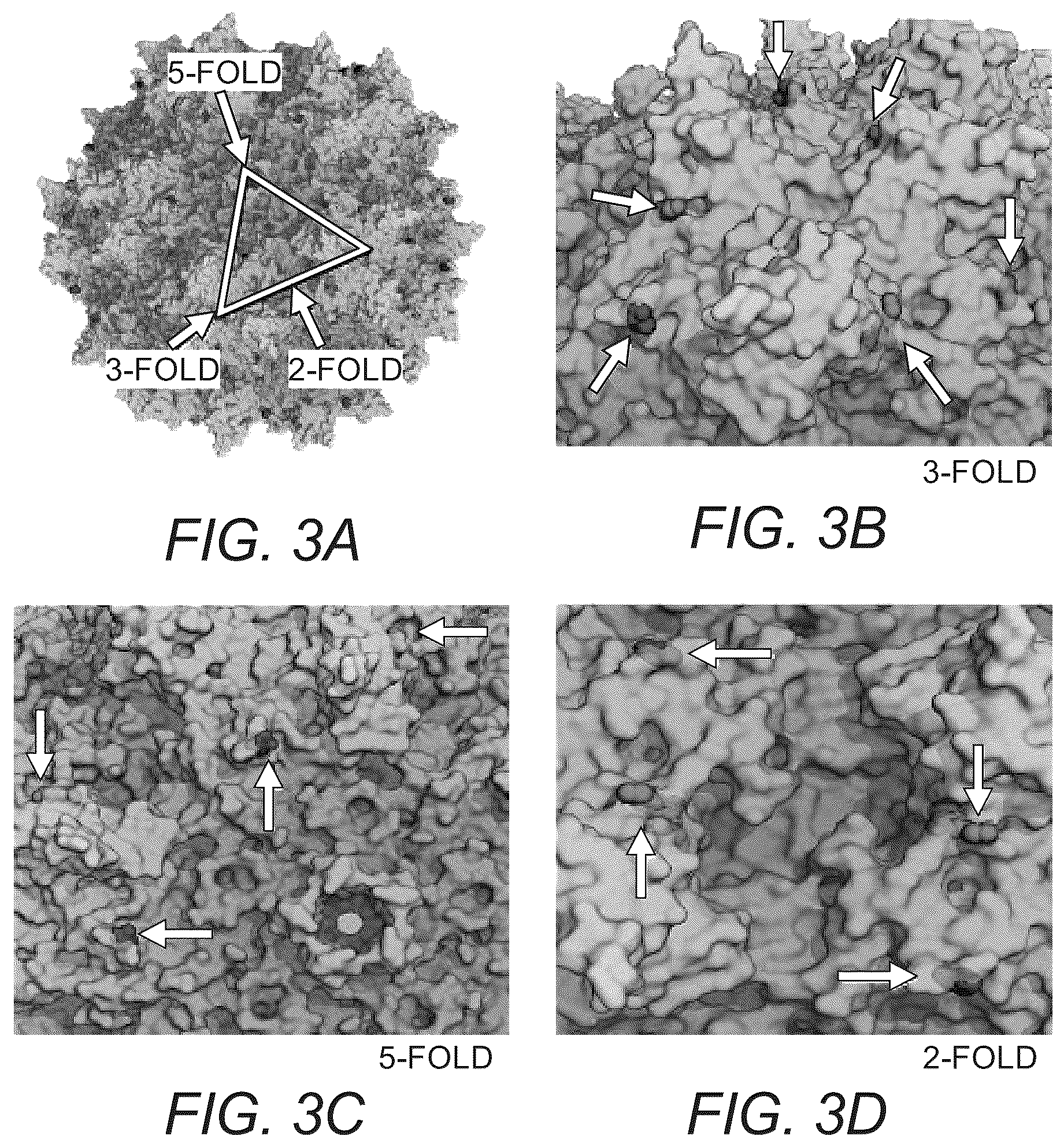 Patent US12319715 Figure 5 – Modified capsid proteins for enhanced delivery of parvovirus vectors