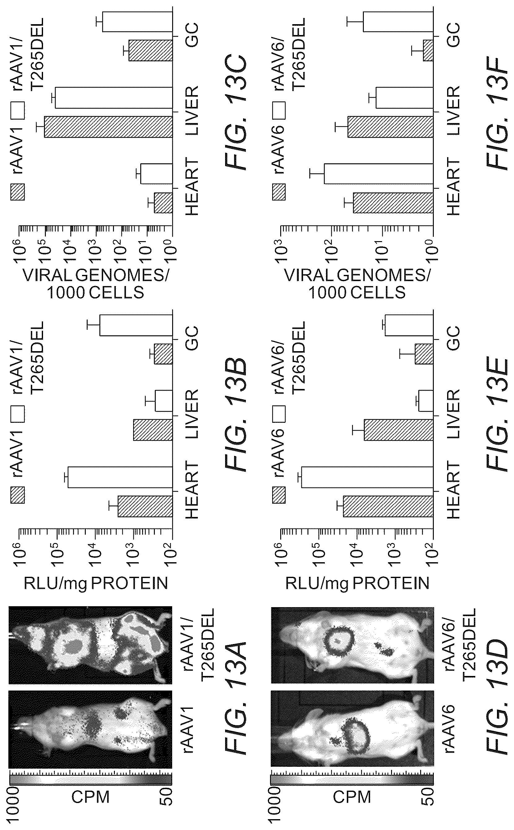 Patent US12319715 Figure 14 – Modified capsid proteins for enhanced delivery of parvovirus vectors