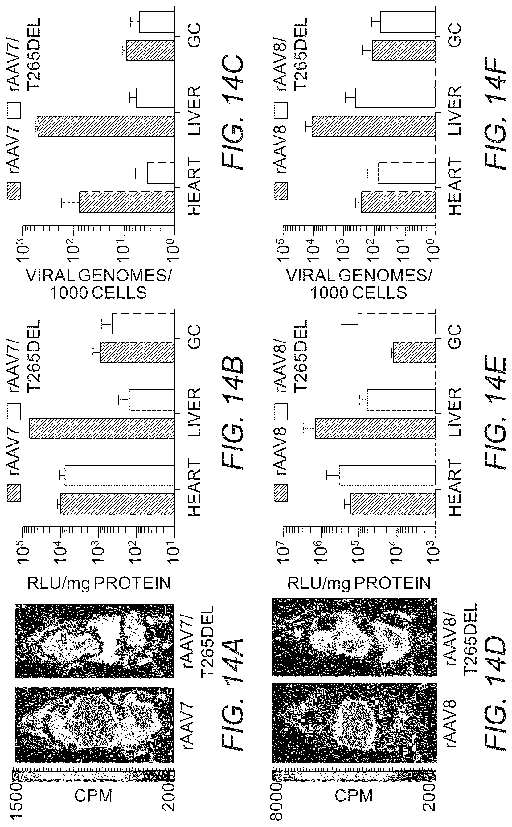 Patent US12319715 Figure 15 – Modified capsid proteins for enhanced delivery of parvovirus vectors
