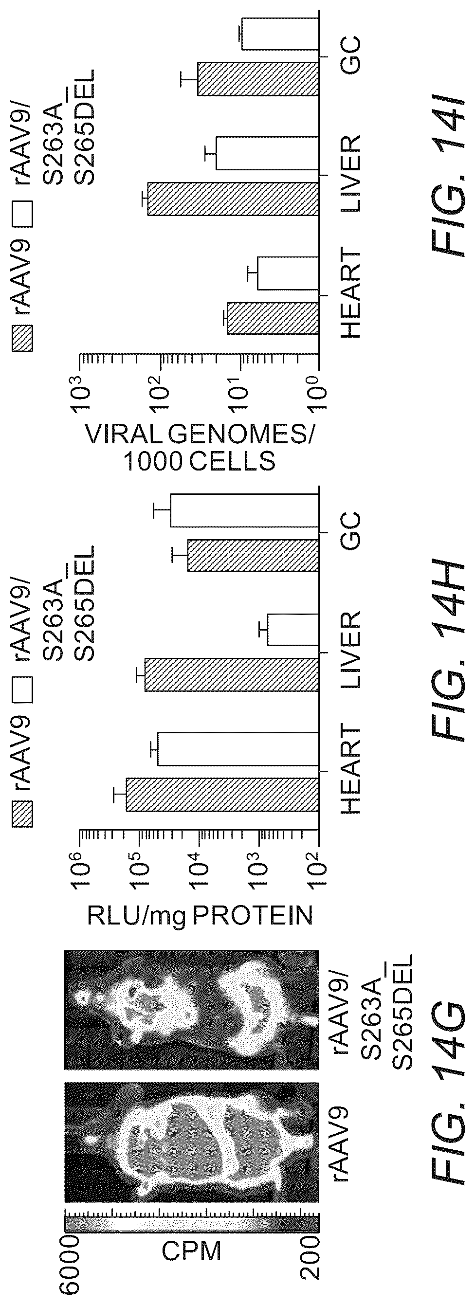 Patent US12319715 Figure 16 – Modified capsid proteins for enhanced delivery of parvovirus vectors