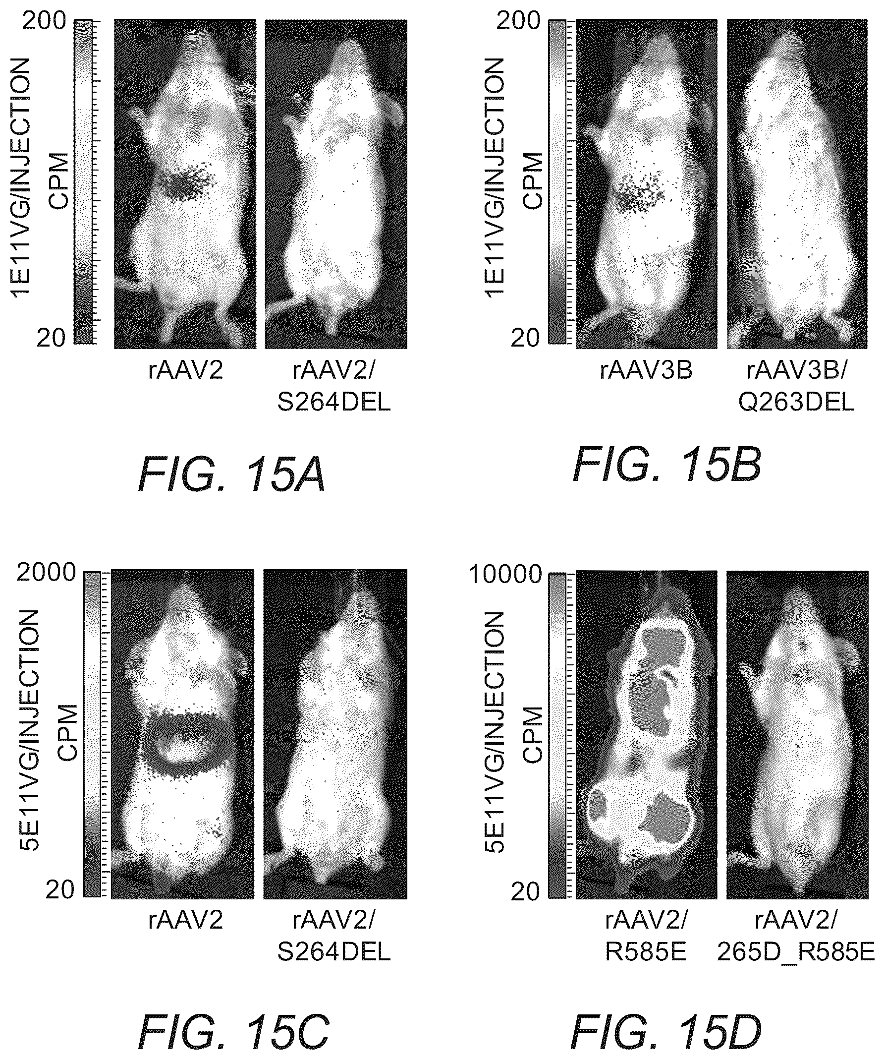 Patent US12319715 Figure 17 – Modified capsid proteins for enhanced delivery of parvovirus vectors