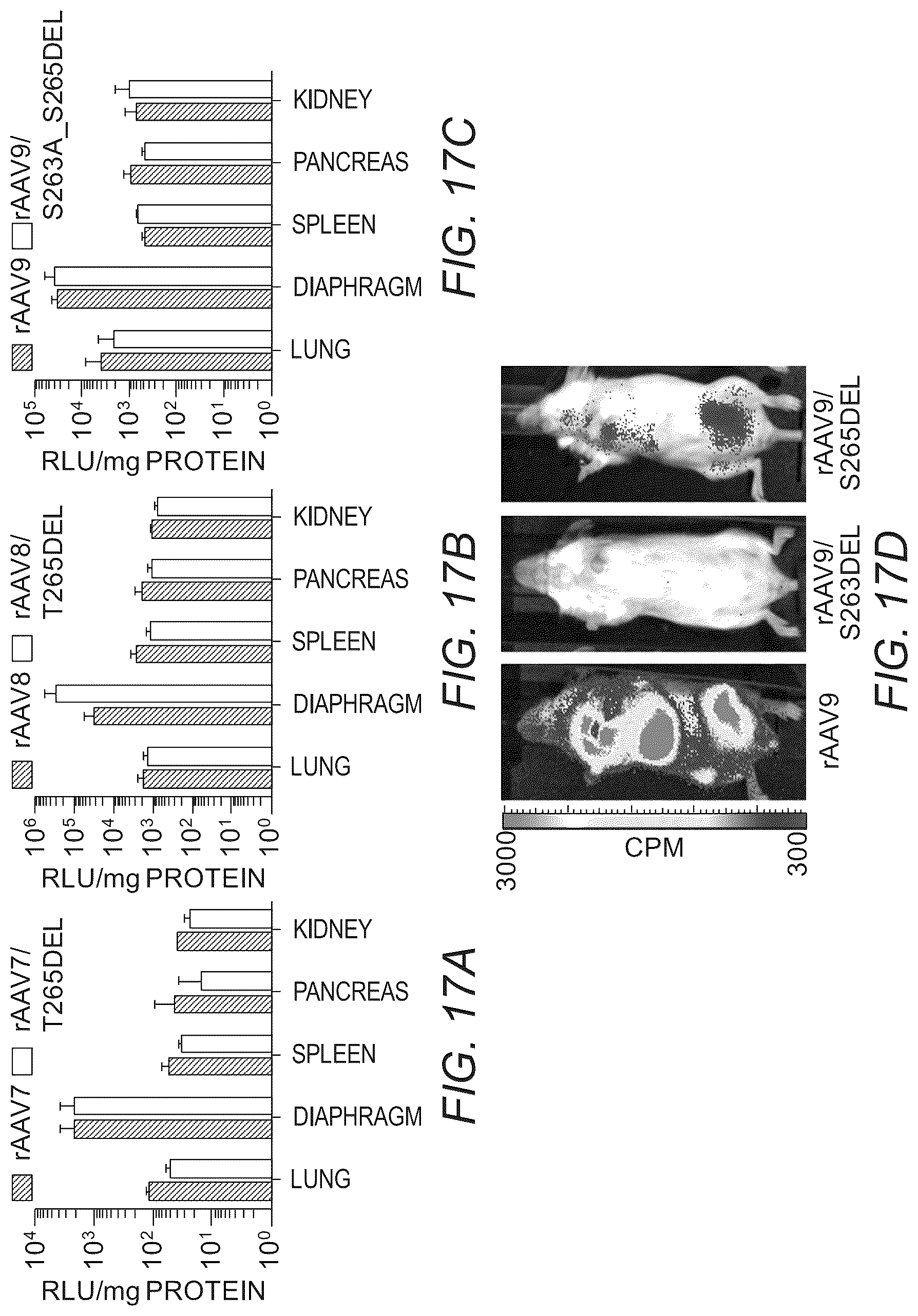 Patent US12319715 Figure 19 – Modified capsid proteins for enhanced delivery of parvovirus vectors