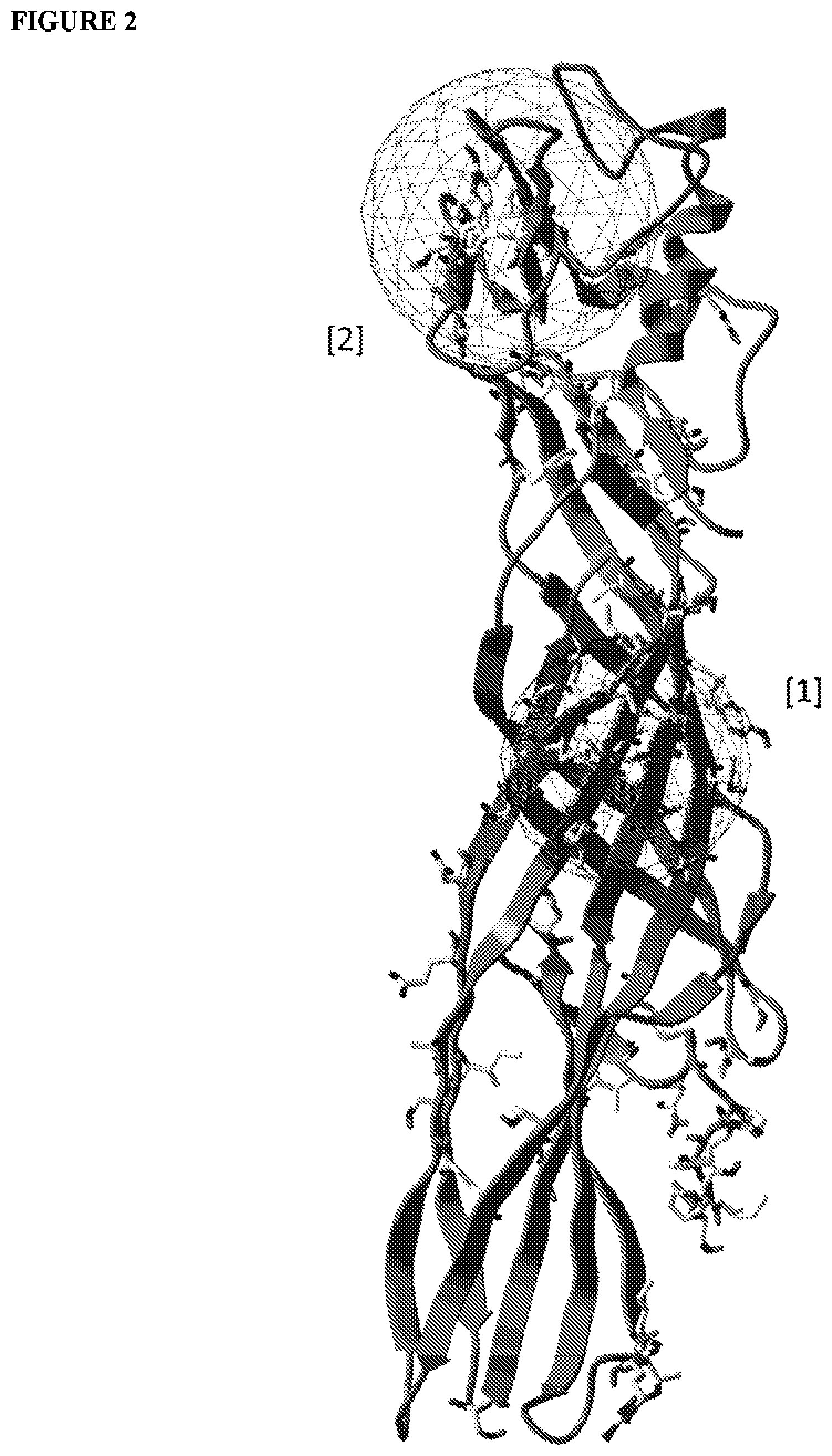 Patent US12319716 Figure 2 – Proteins toxic to Hemipteran insect species
