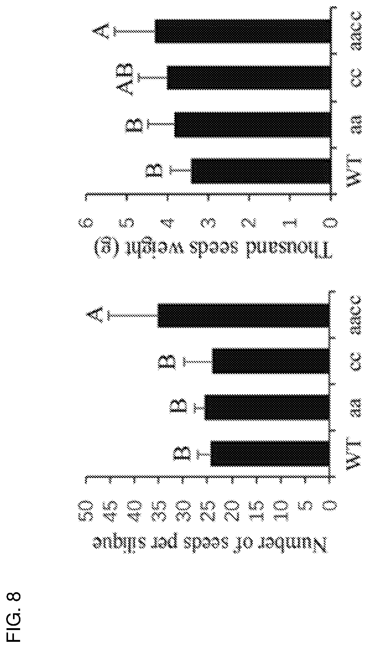 Patent US12319717 Figure 11 – Brassica plants with increased locules