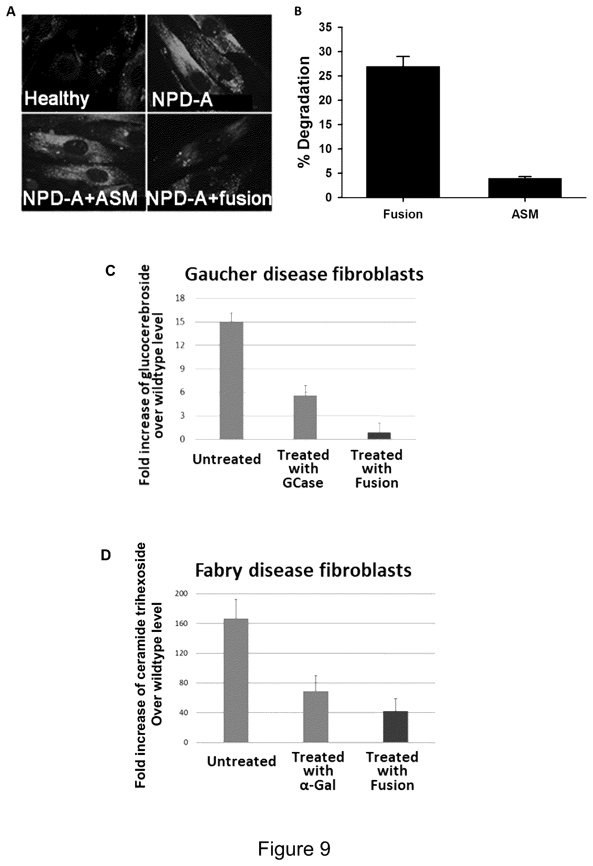 Patent US12319719 Figure 12 – ICAM-1 targeted fusion enzymes