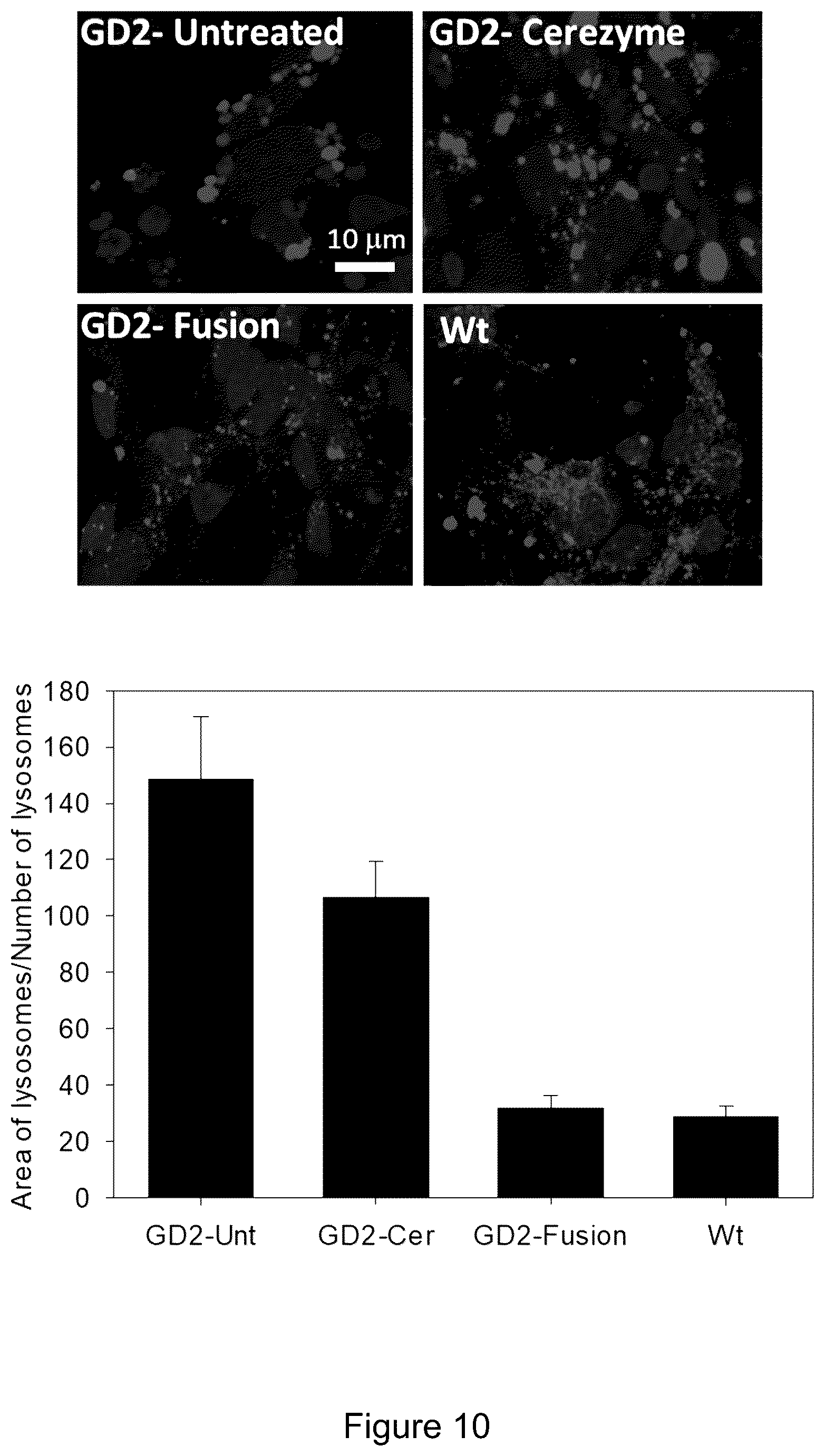 Patent US12319719 Figure 13 – ICAM-1 targeted fusion enzymes