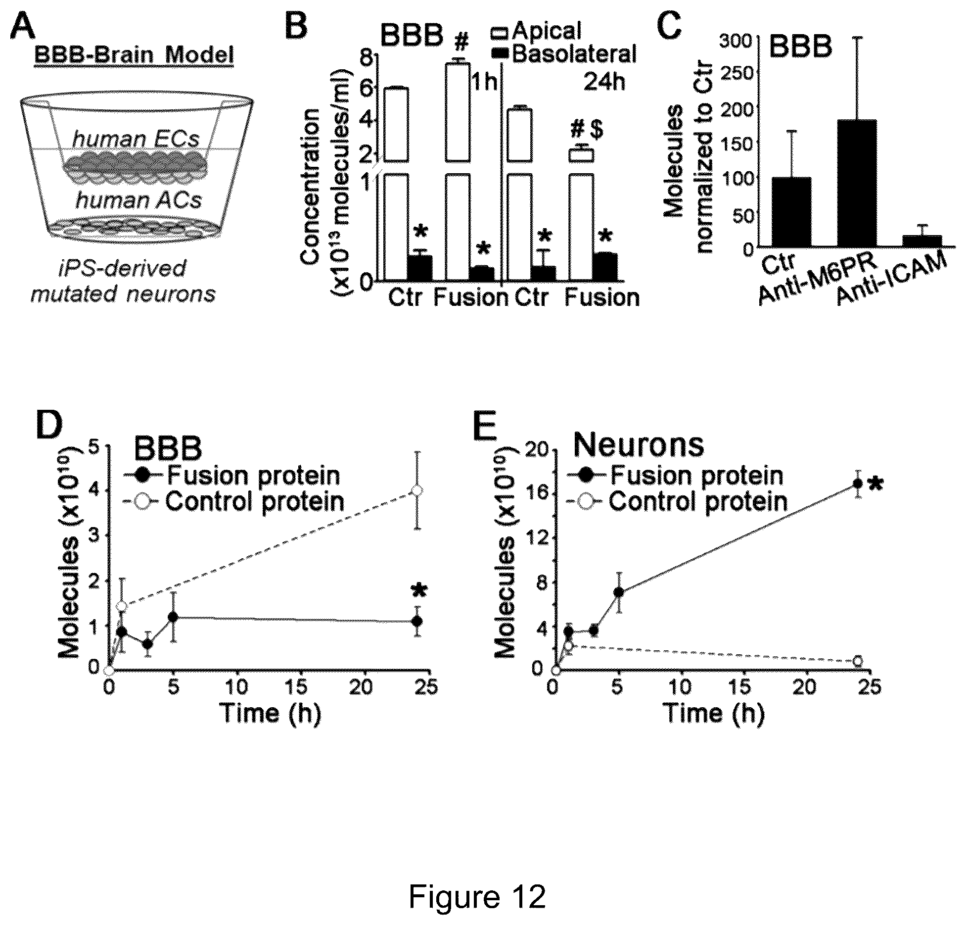 Patent US12319719 Figure 15 – ICAM-1 targeted fusion enzymes
