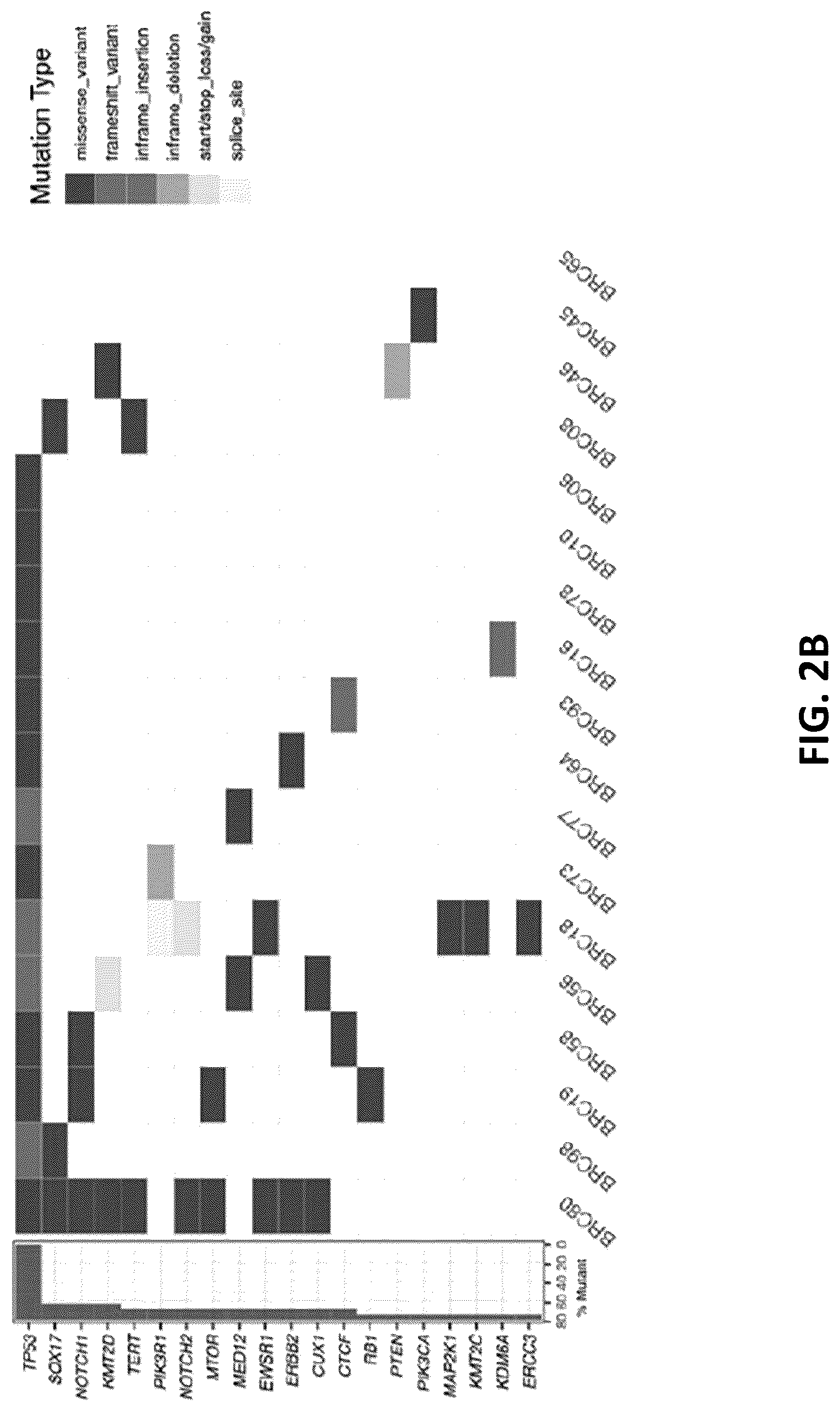 Patent US12319720 Figure 3 – Neoantigen vaccines for triple negative breast cancer