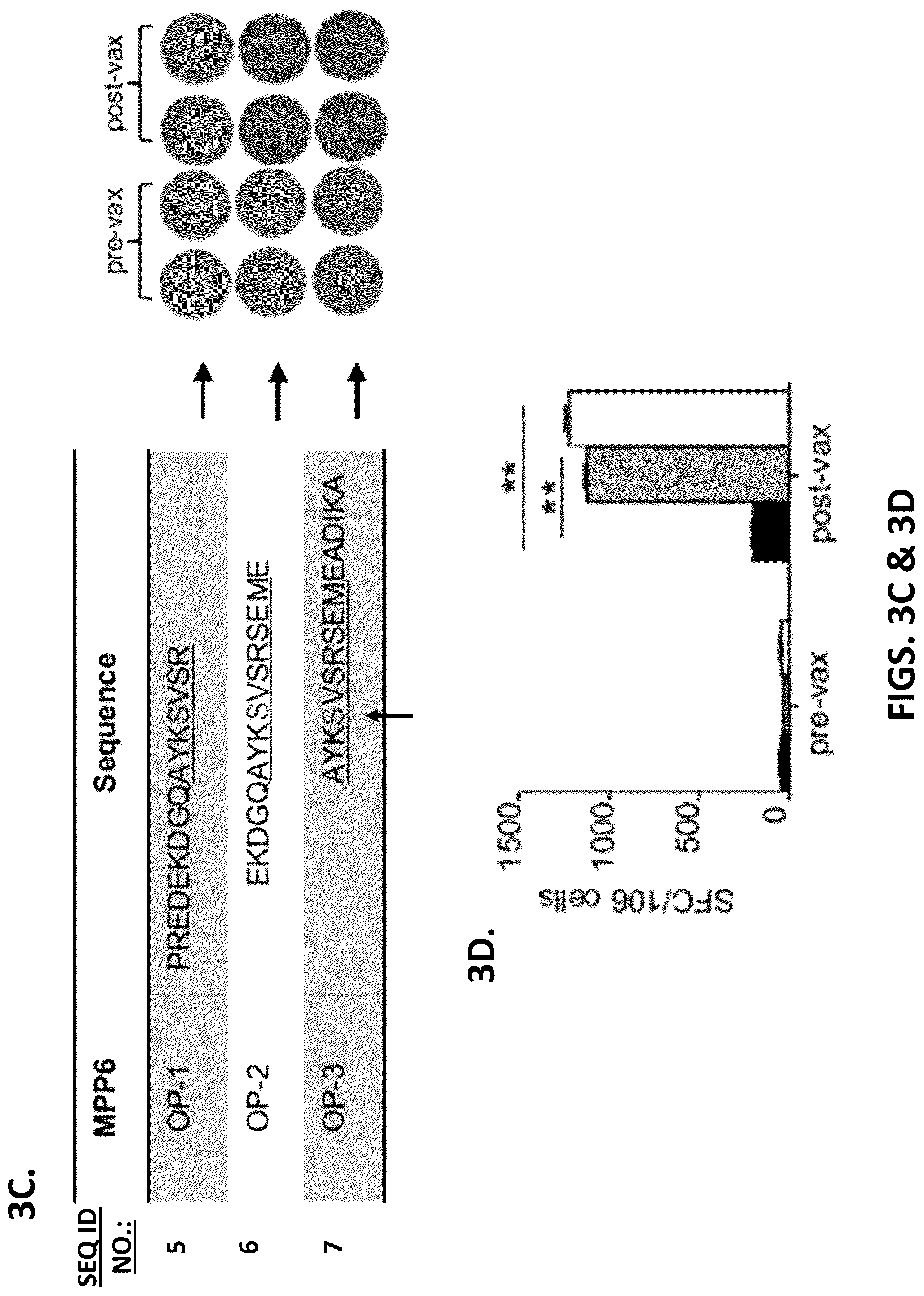 Patent US12319720 Figure 6 – Neoantigen vaccines for triple negative breast cancer
