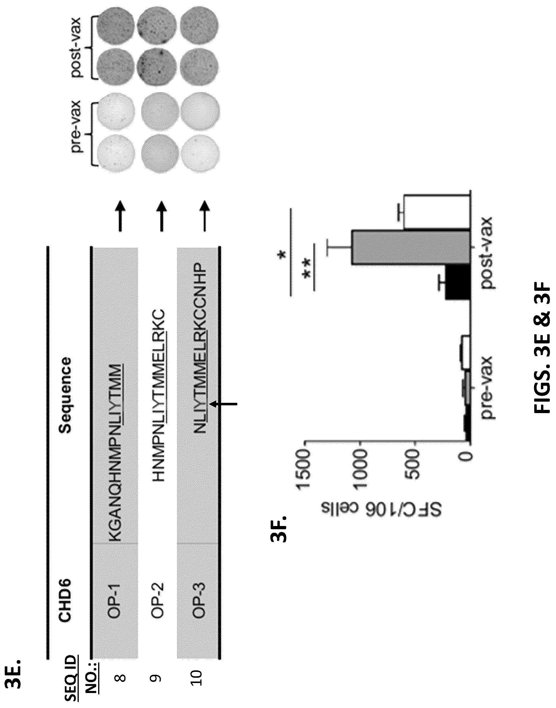 Patent US12319720 Figure 7 – Neoantigen vaccines for triple negative breast cancer