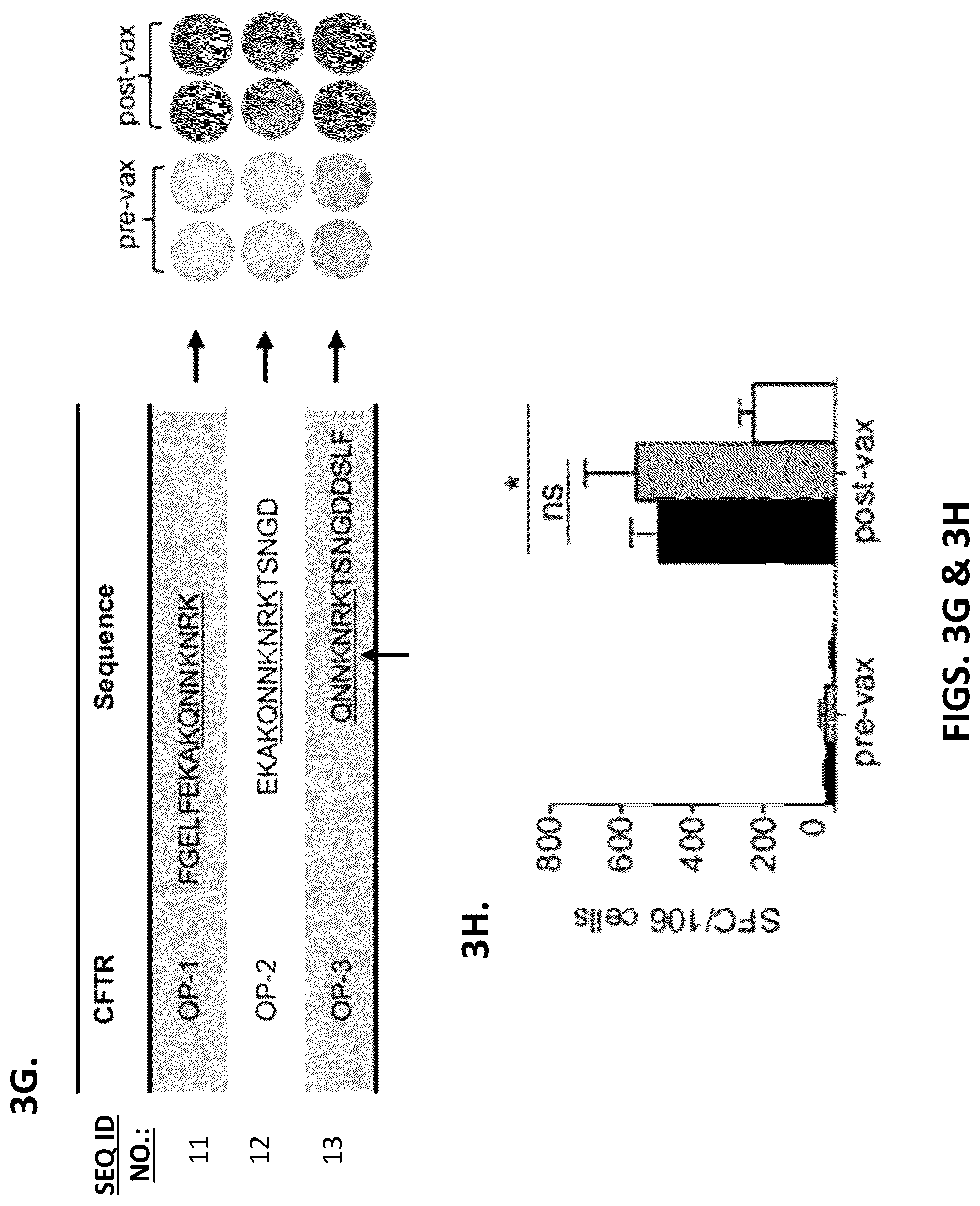 Patent US12319720 Figure 8 – Neoantigen vaccines for triple negative breast cancer
