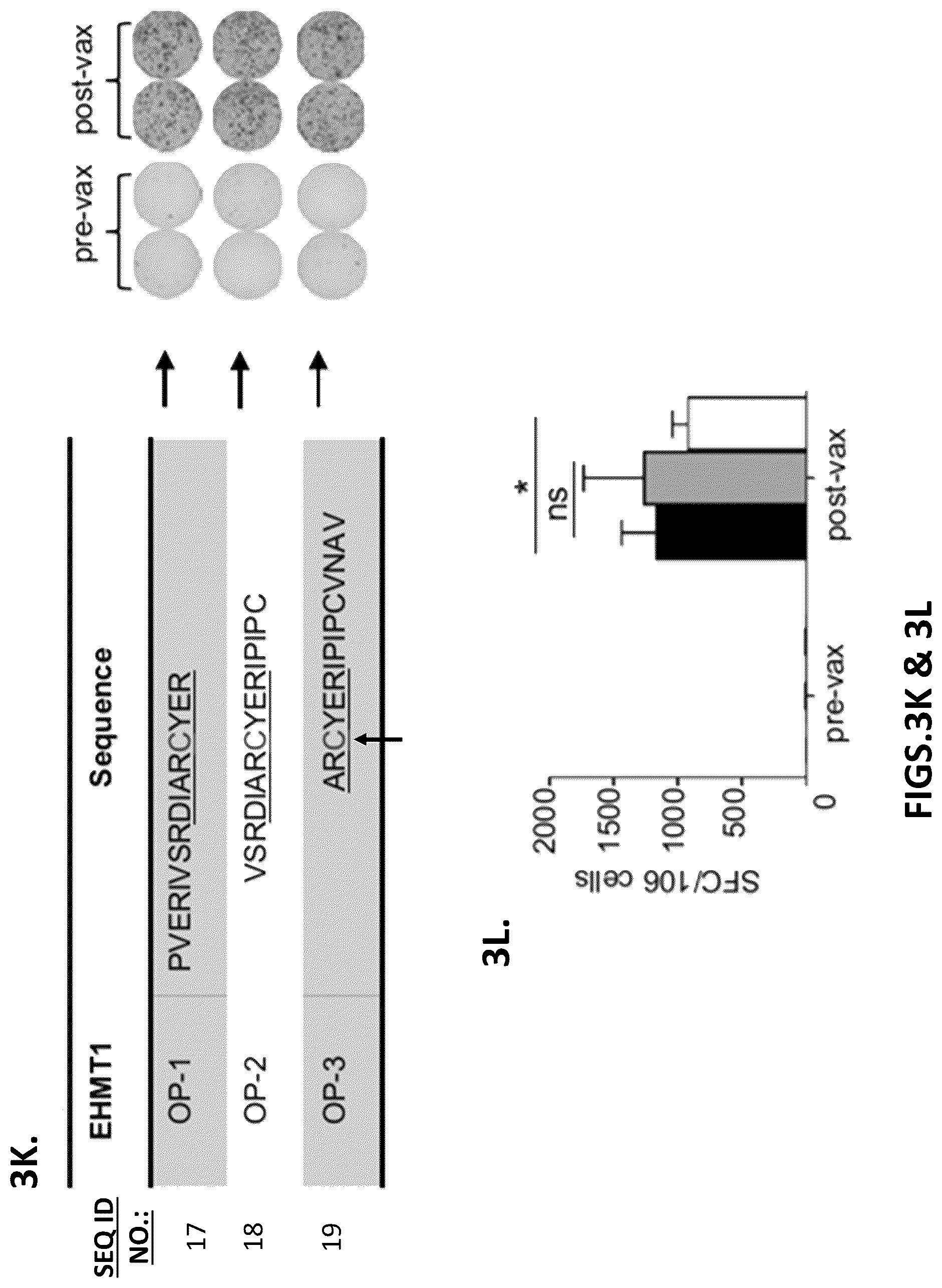 Patent US12319720 Figure 10 – Neoantigen vaccines for triple negative breast cancer