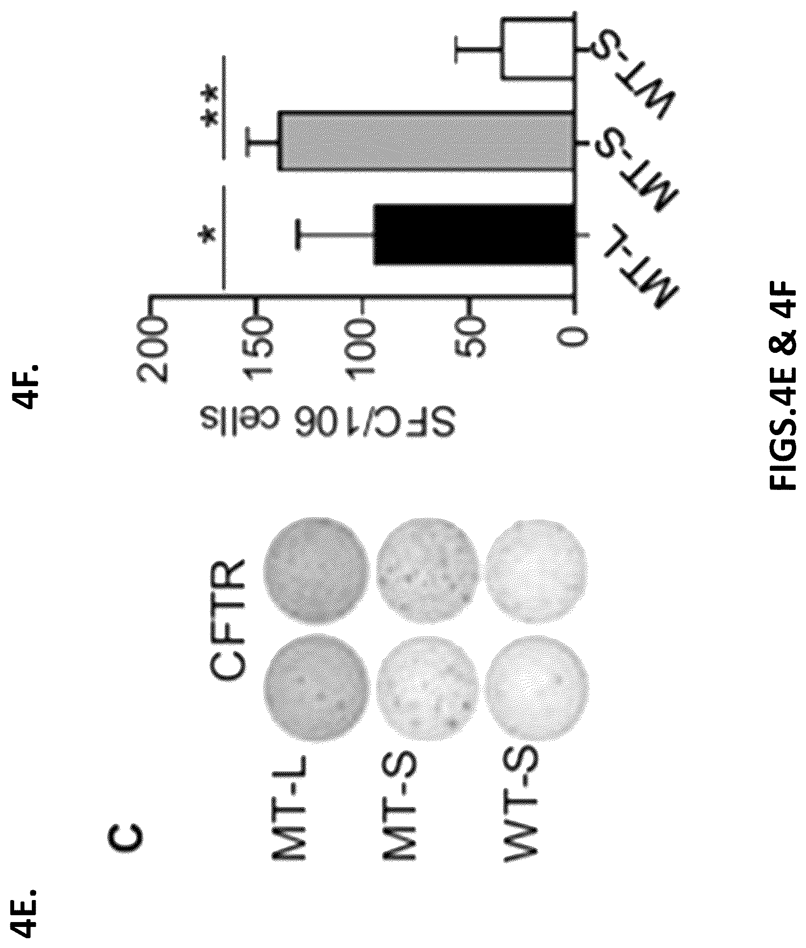 Patent US12319720 Figure 13 – Neoantigen vaccines for triple negative breast cancer