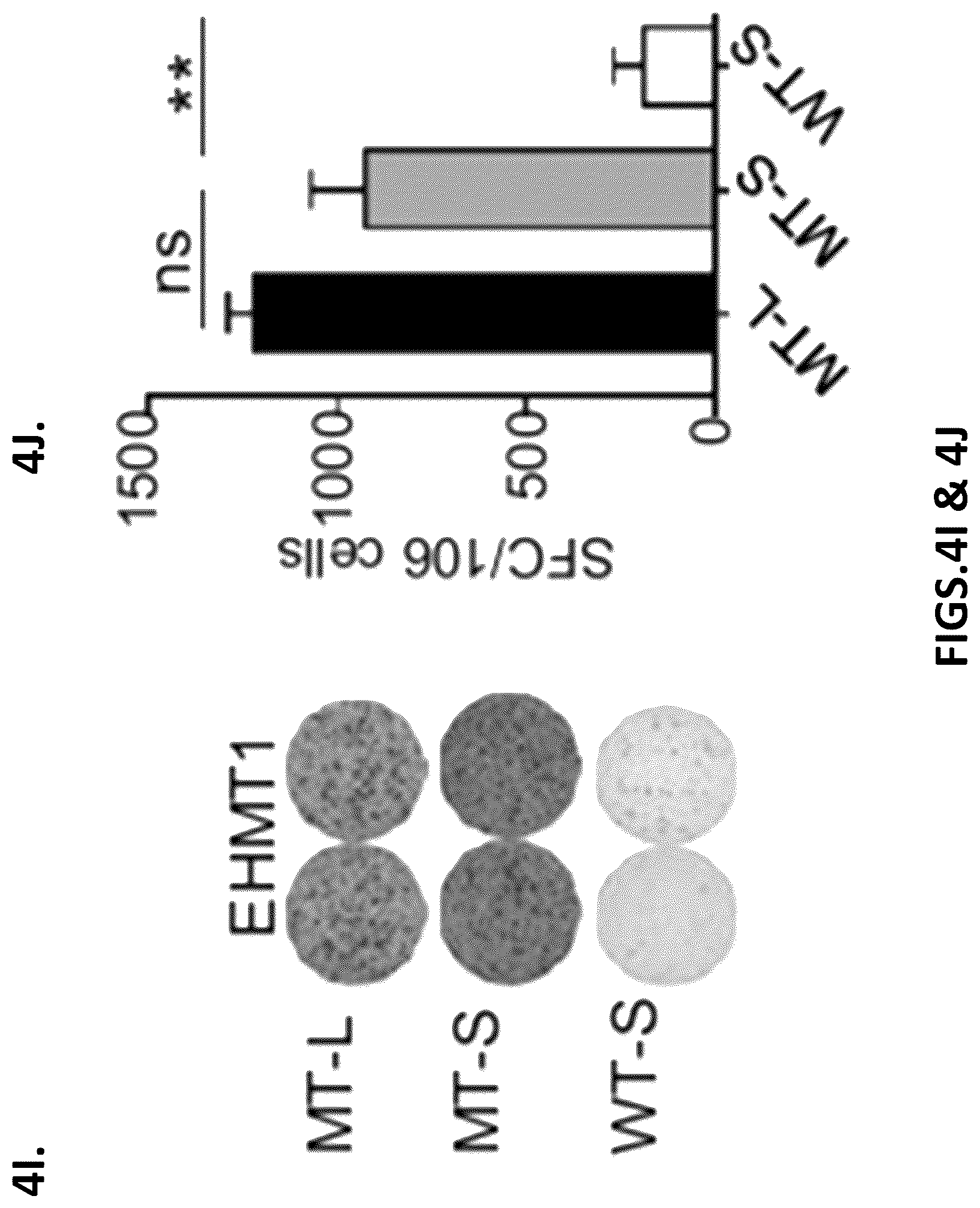 Patent US12319720 Figure 15 – Neoantigen vaccines for triple negative breast cancer