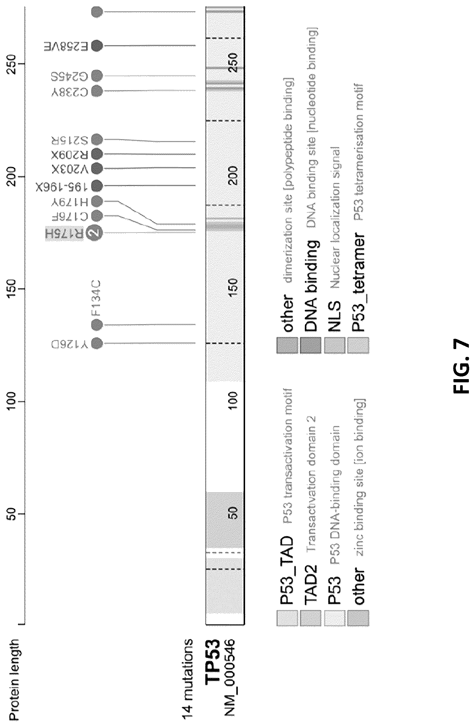 Patent US12319720 Figure 20 – Neoantigen vaccines for triple negative breast cancer