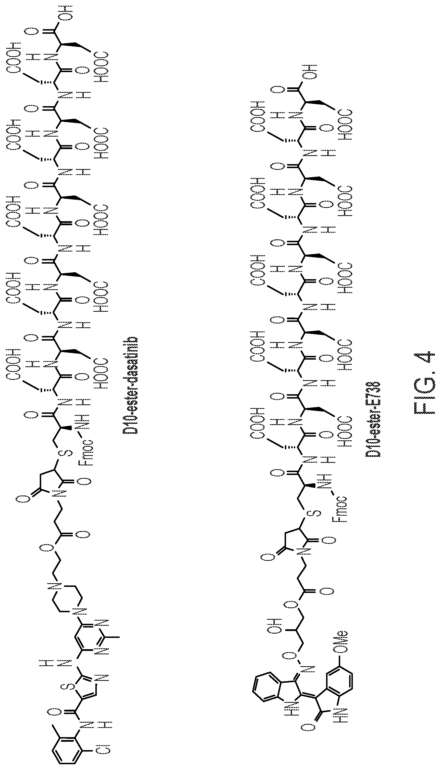 Patent US12319721 Figure 3 – Targeting anabolic drugs for accelerated fracture repair
