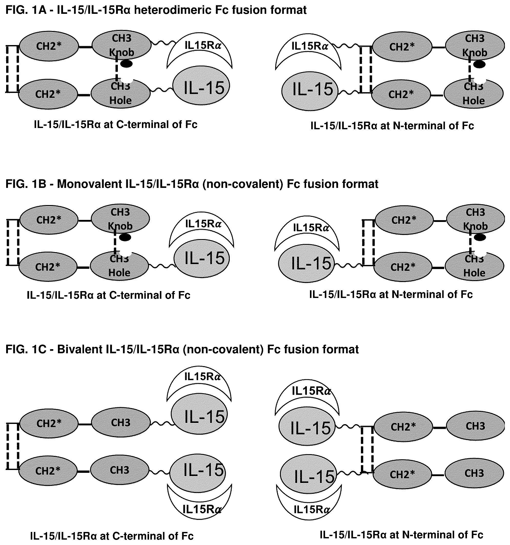 Patent US12319722 Figure 1 – Interleukin-15 (IL-15) fusion proteins and uses thereof