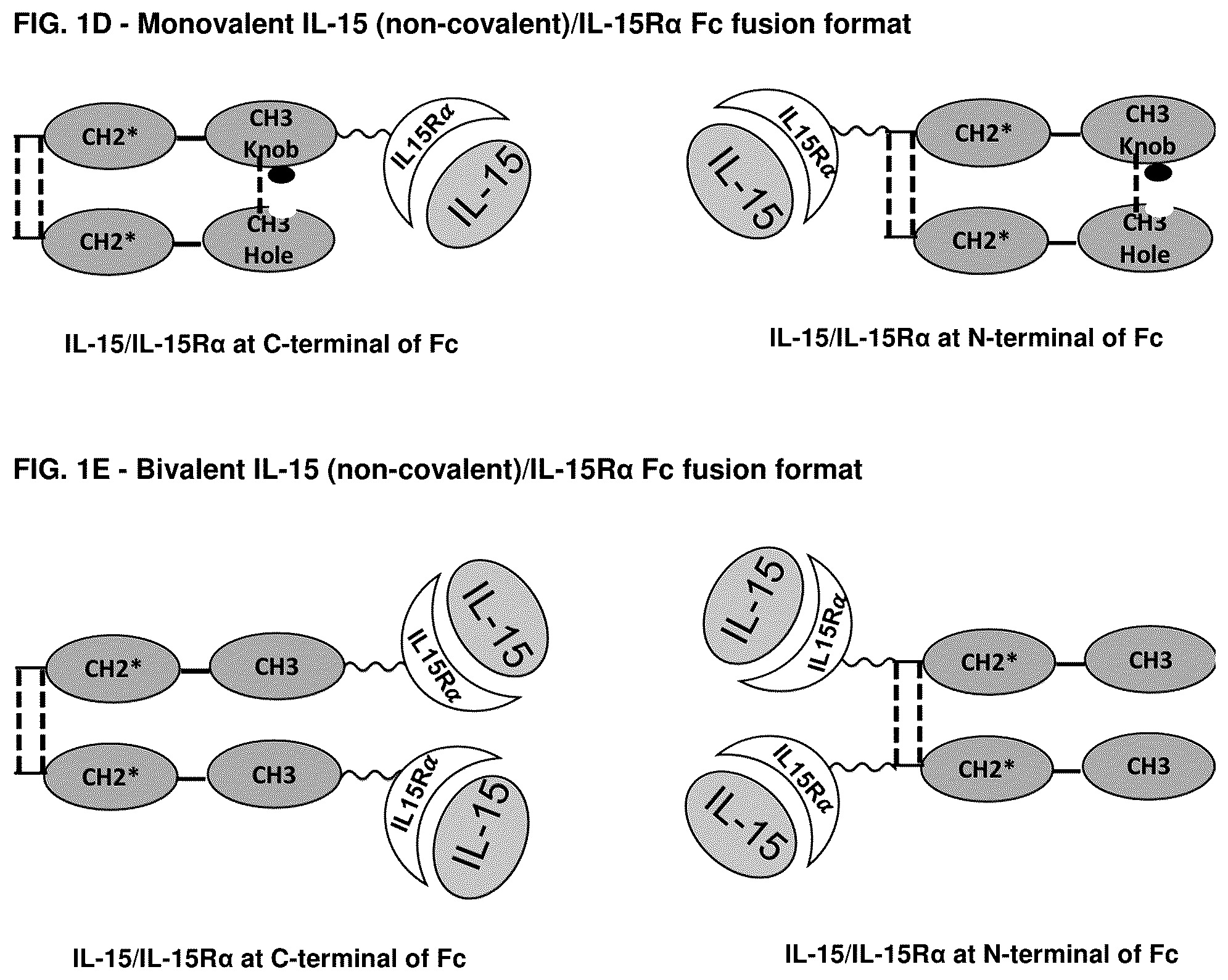 Patent US12319722 Figure 2 – Interleukin-15 (IL-15) fusion proteins and uses thereof