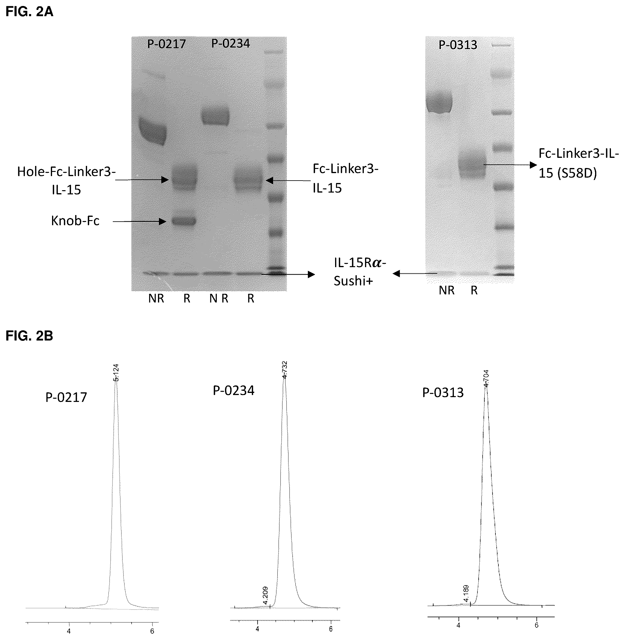 Patent US12319722 Figure 3 – Interleukin-15 (IL-15) fusion proteins and uses thereof
