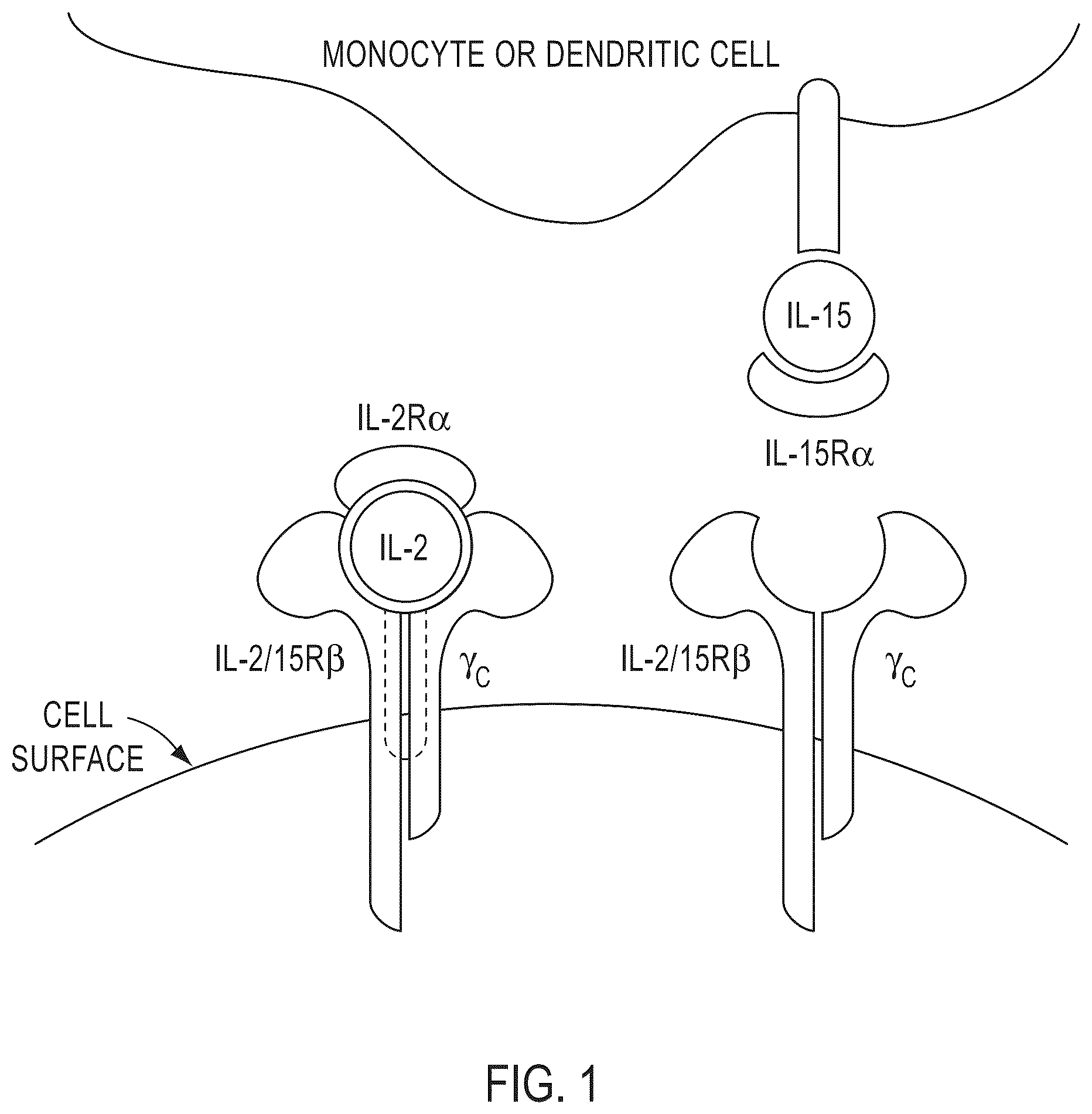 Patent US12319724 Figure 1 – IL2 agonists and methods of use thereof