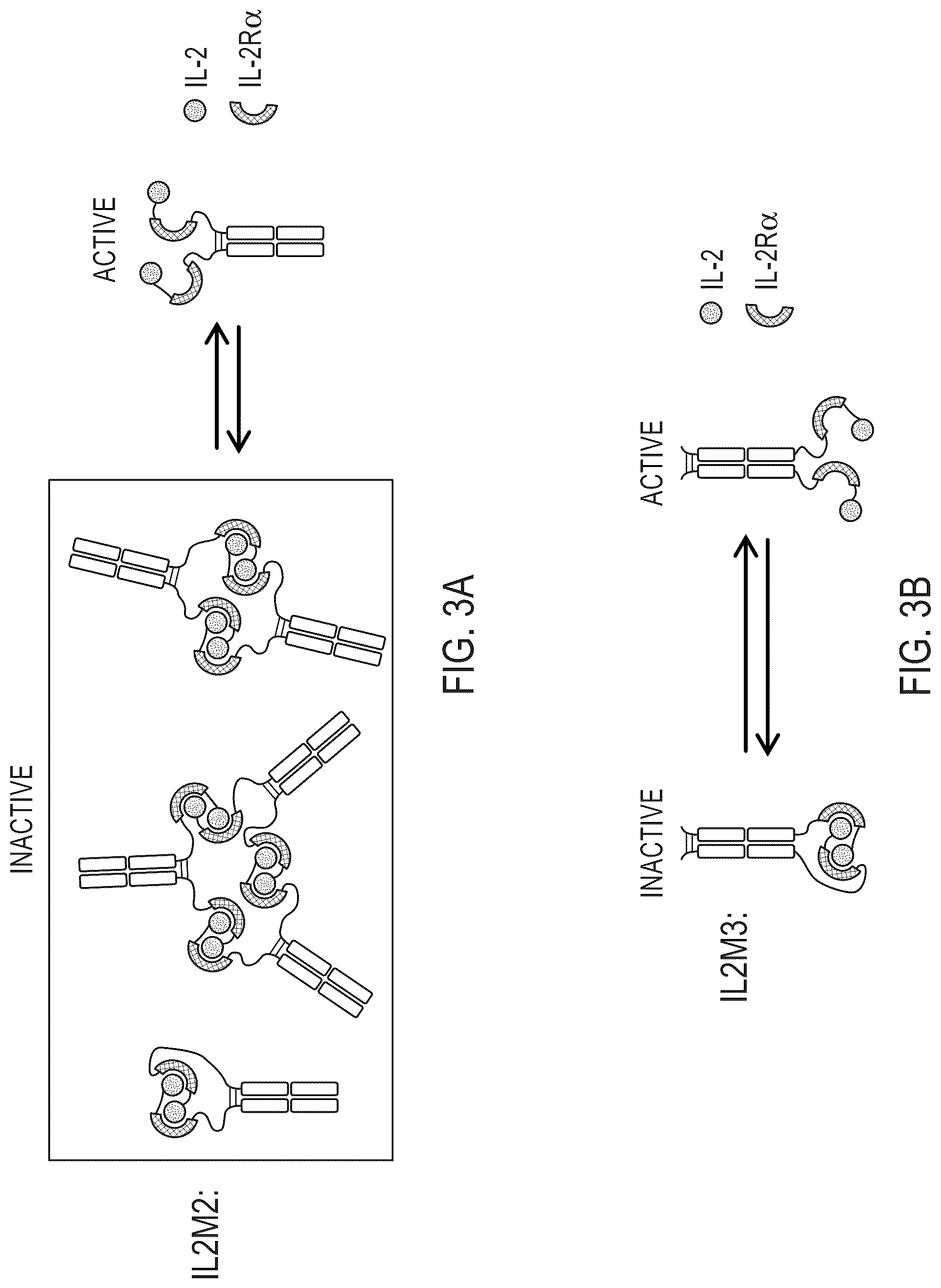 Patent US12319724 Figure 4 – IL2 agonists and methods of use thereof