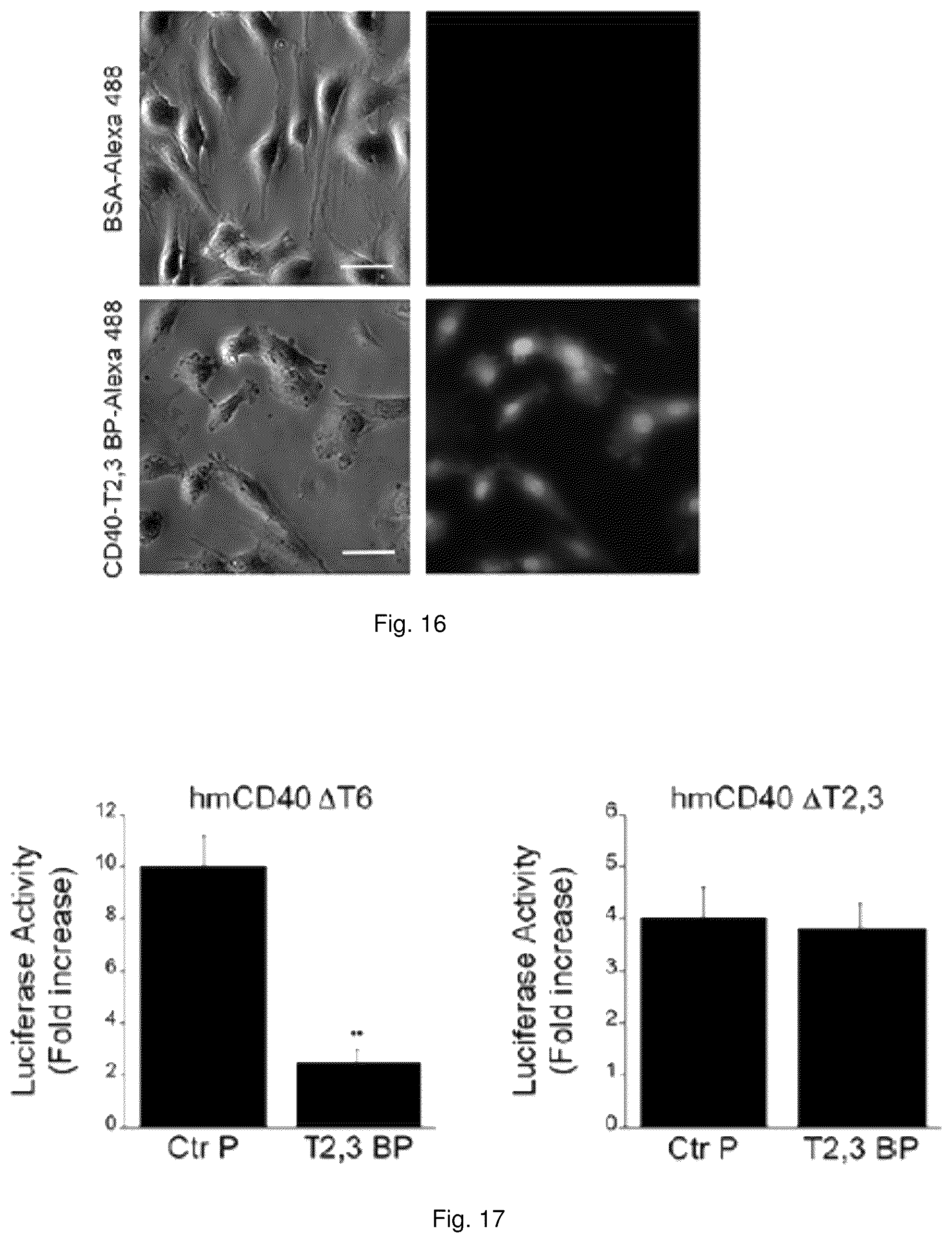 Patent US12319726 Figure 17 – Method for treating CD40-mediated diseases