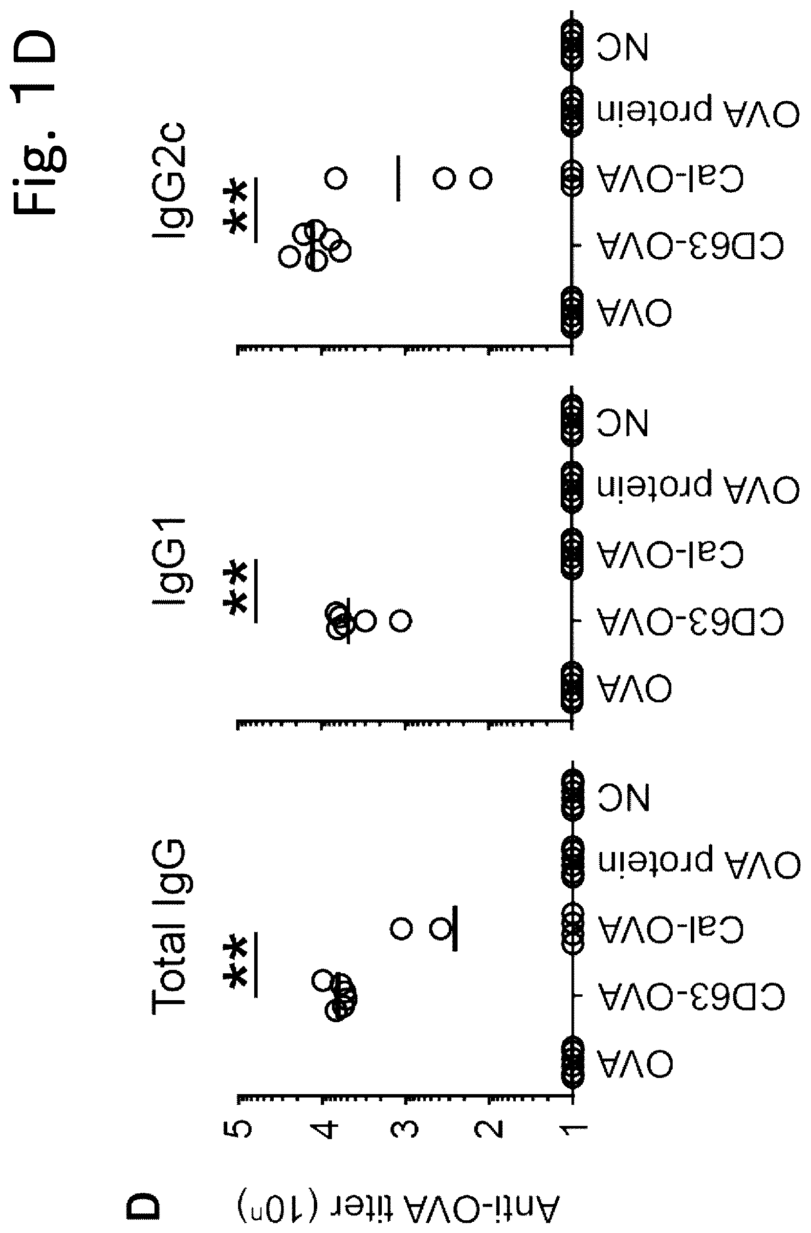 Patent US12319727 Figure 4 – Exosome-targeted DNA vaccine