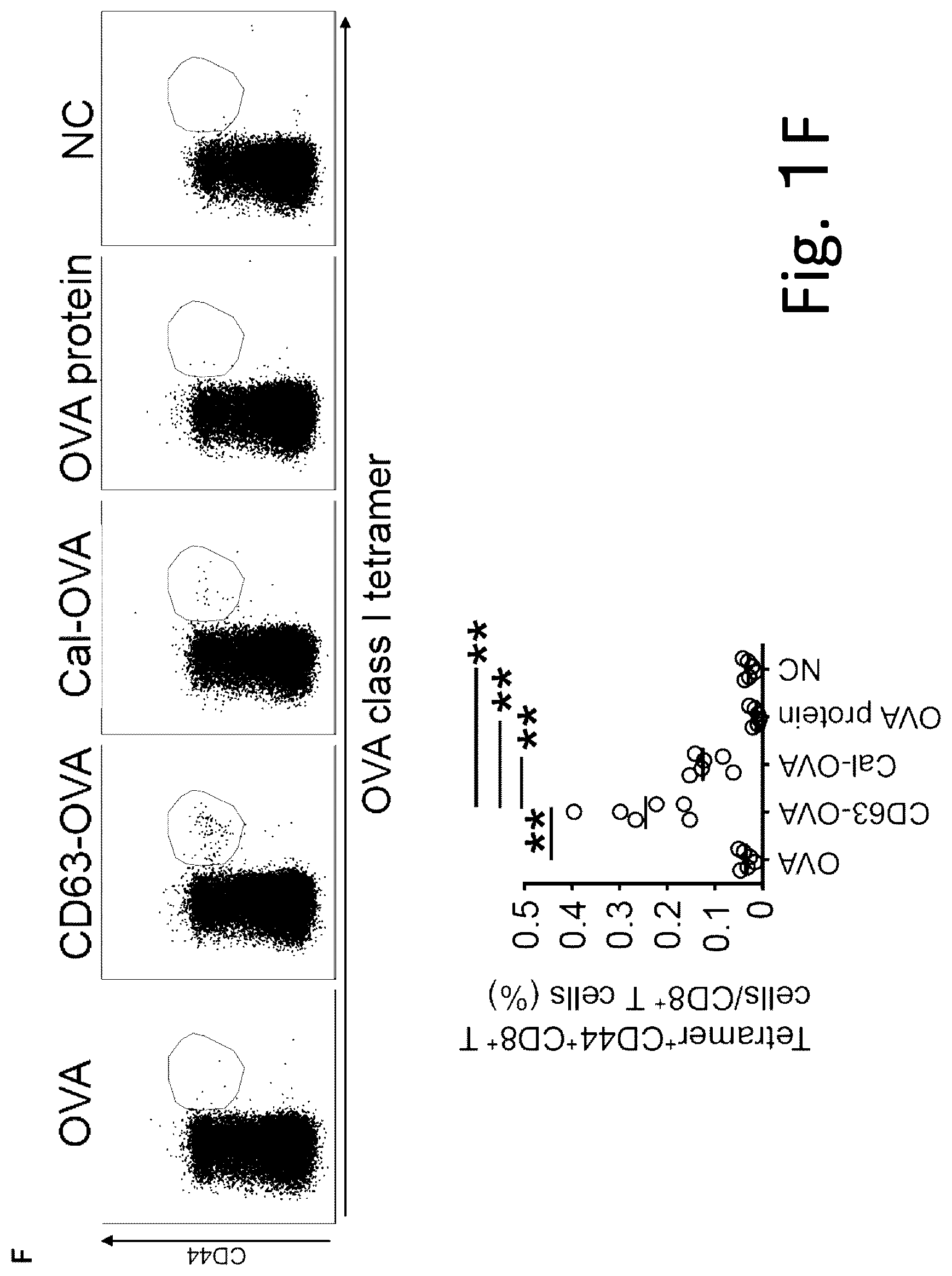 Patent US12319727 Figure 6 – Exosome-targeted DNA vaccine
