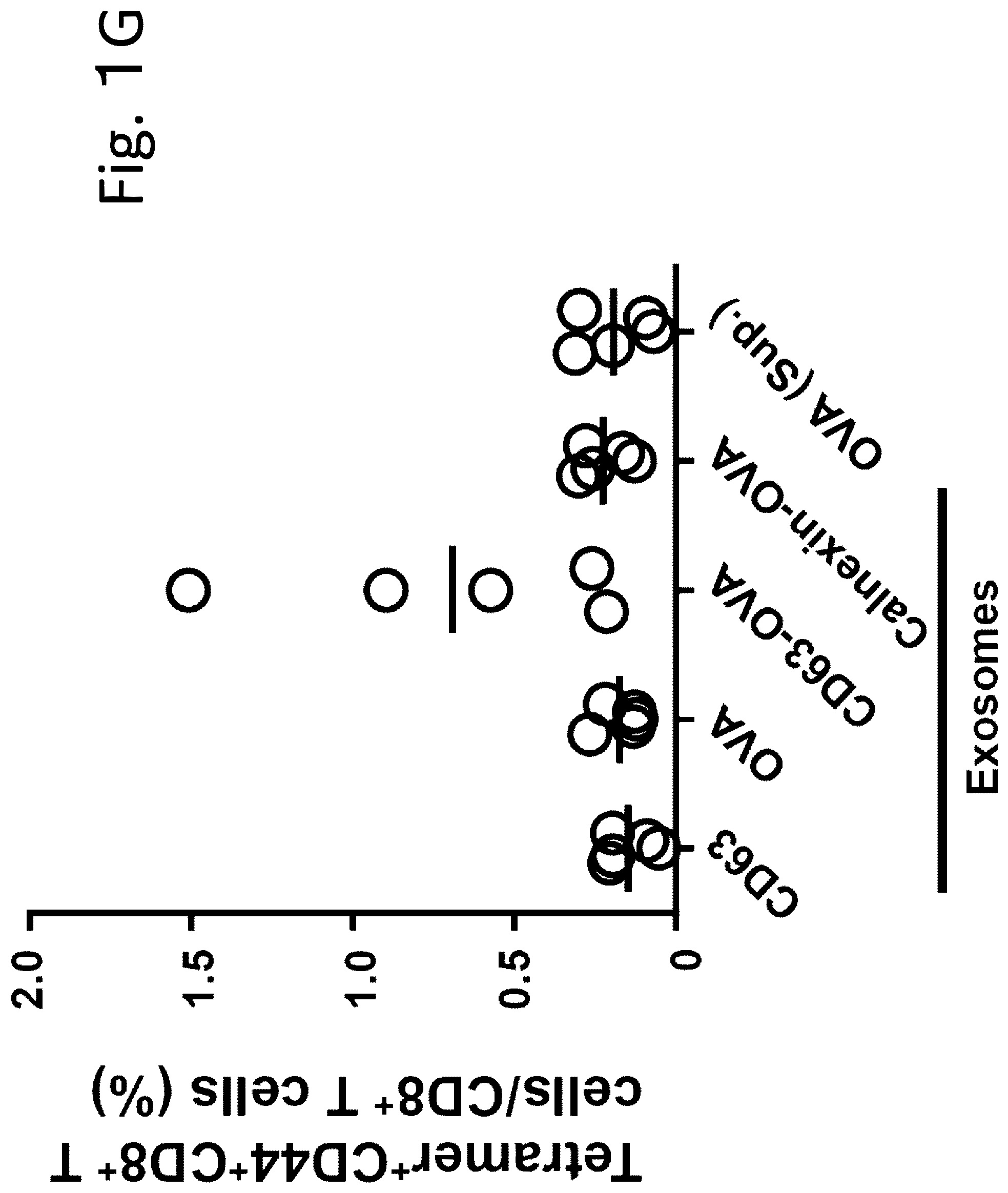 Patent US12319727 Figure 7 – Exosome-targeted DNA vaccine