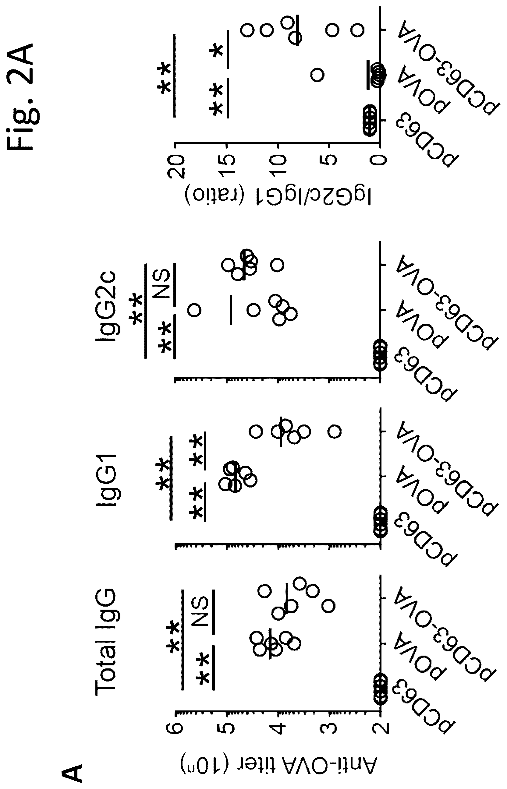 Patent US12319727 Figure 8 – Exosome-targeted DNA vaccine
