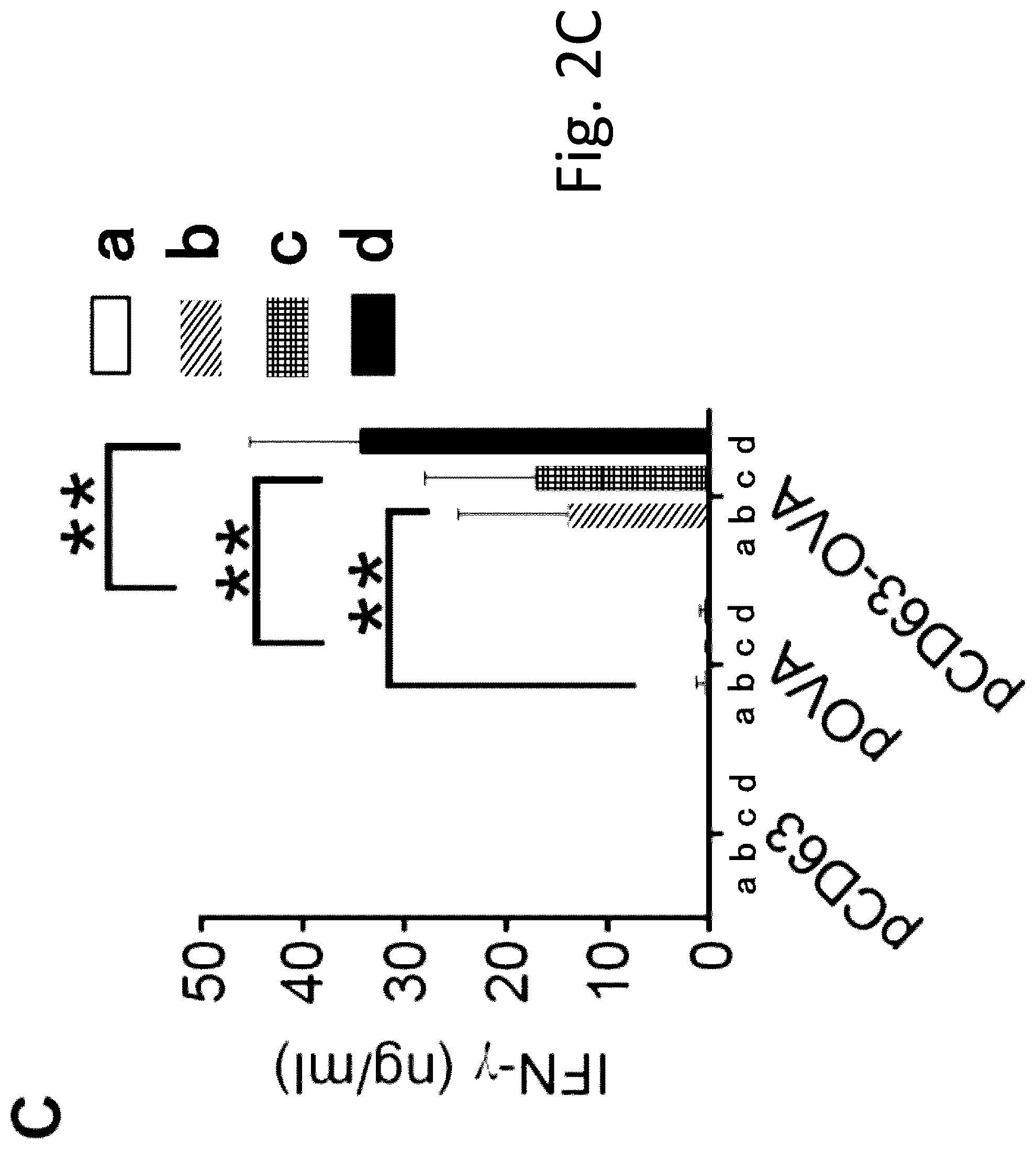 Patent US12319727 Figure 10 – Exosome-targeted DNA vaccine