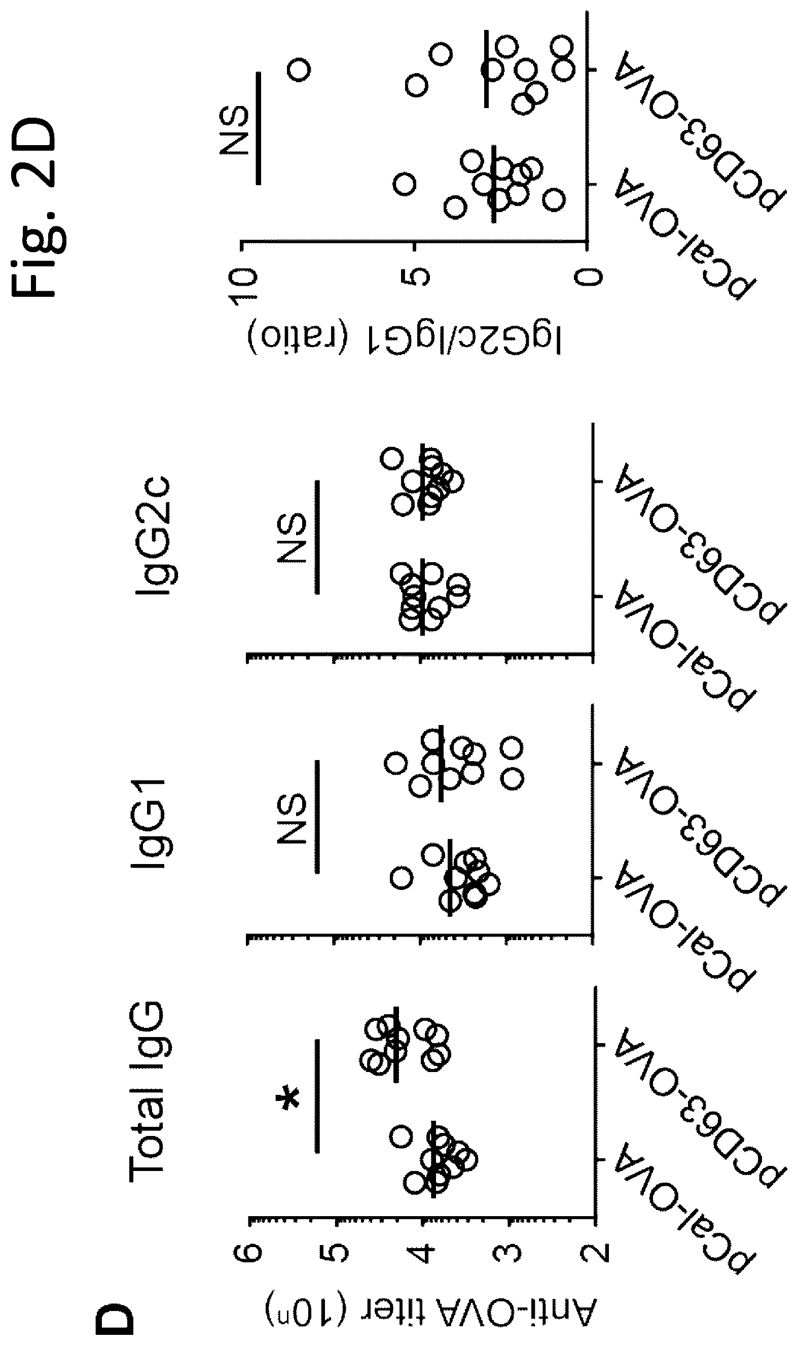 Patent US12319727 Figure 11 – Exosome-targeted DNA vaccine