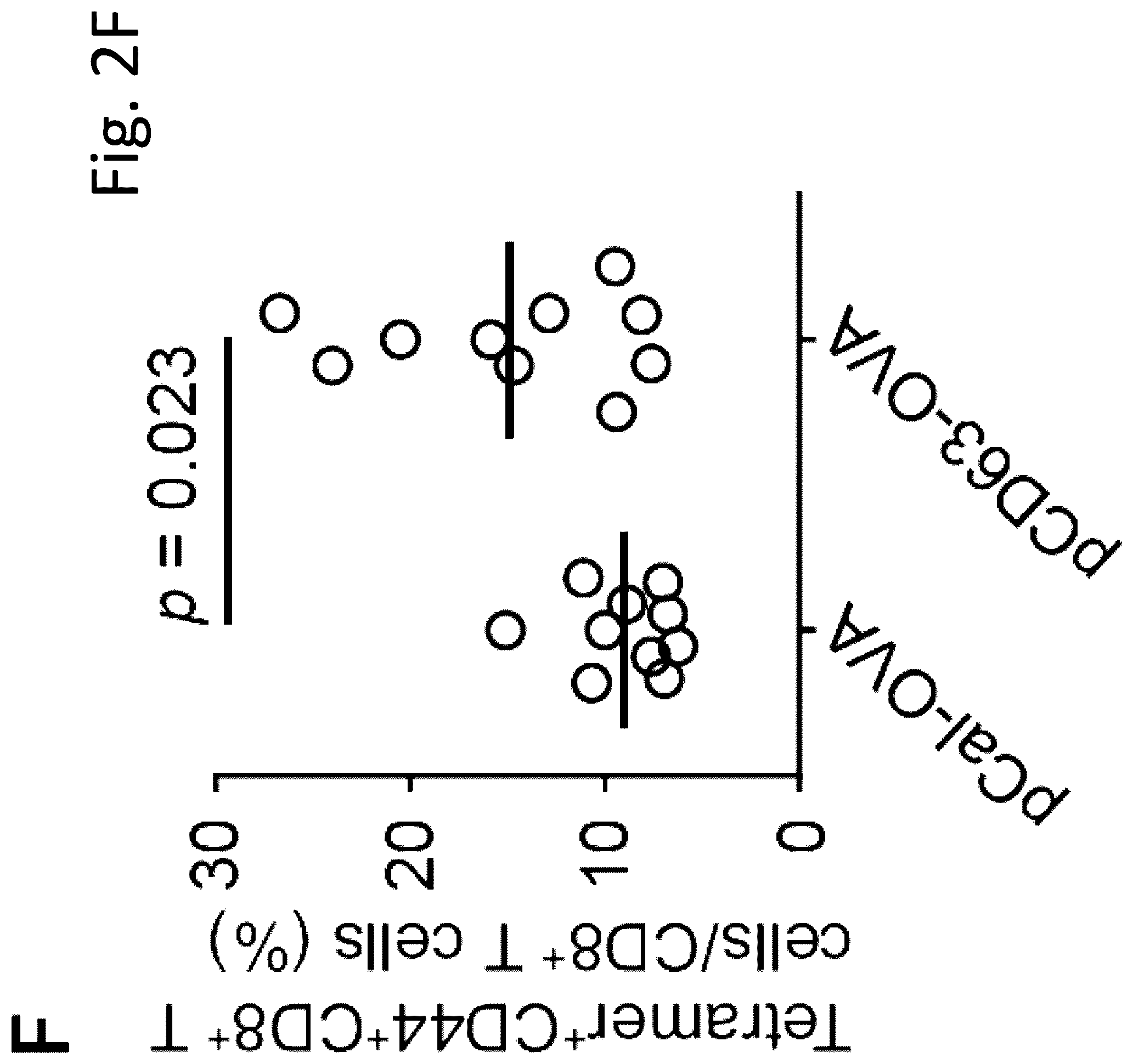 Patent US12319727 Figure 13 – Exosome-targeted DNA vaccine