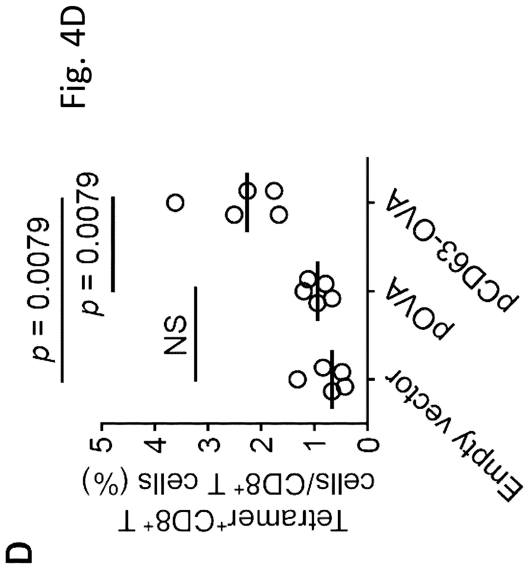 Patent US12319727 Figure 19 – Exosome-targeted DNA vaccine