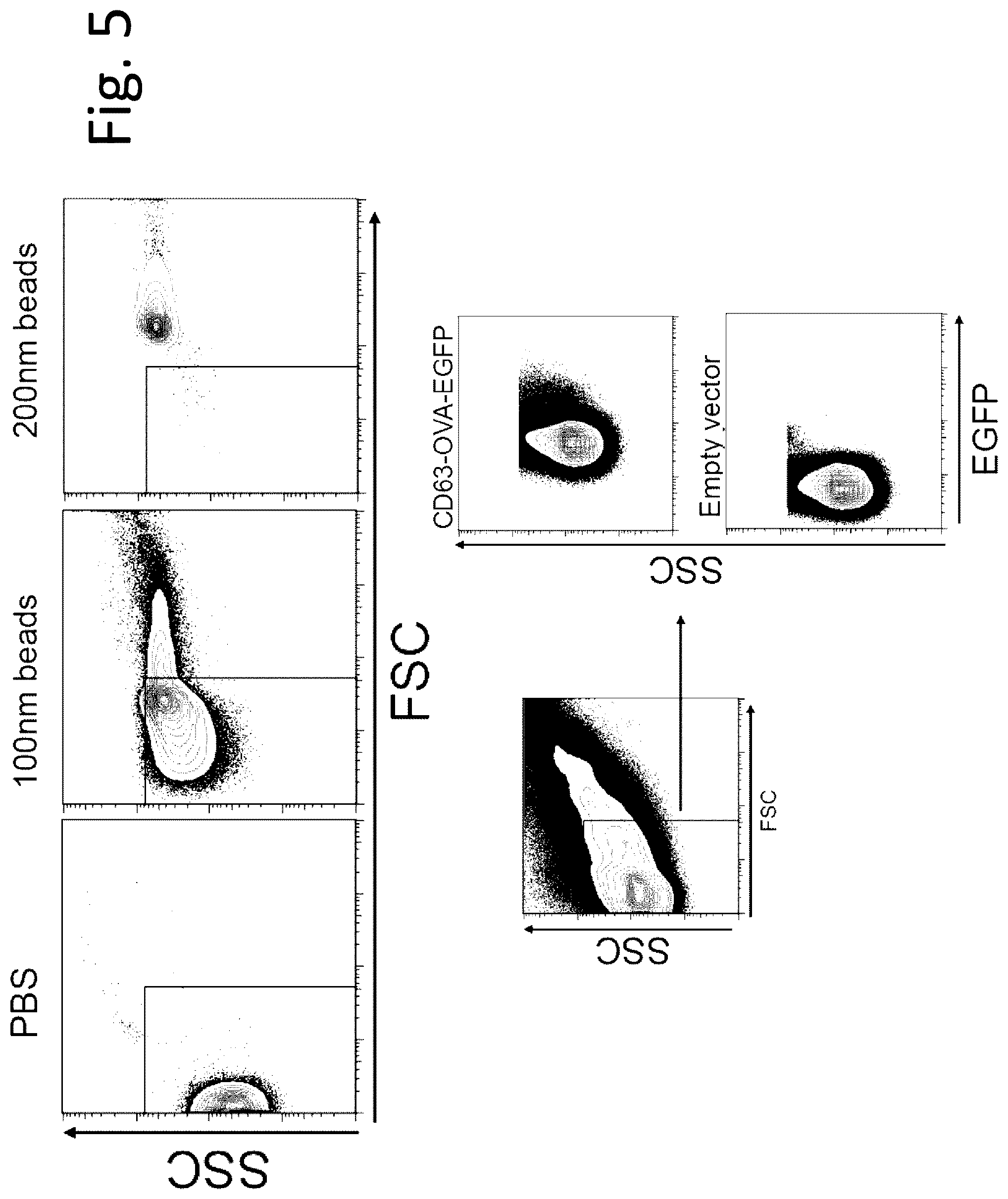 Patent US12319727 Figure 20 – Exosome-targeted DNA vaccine