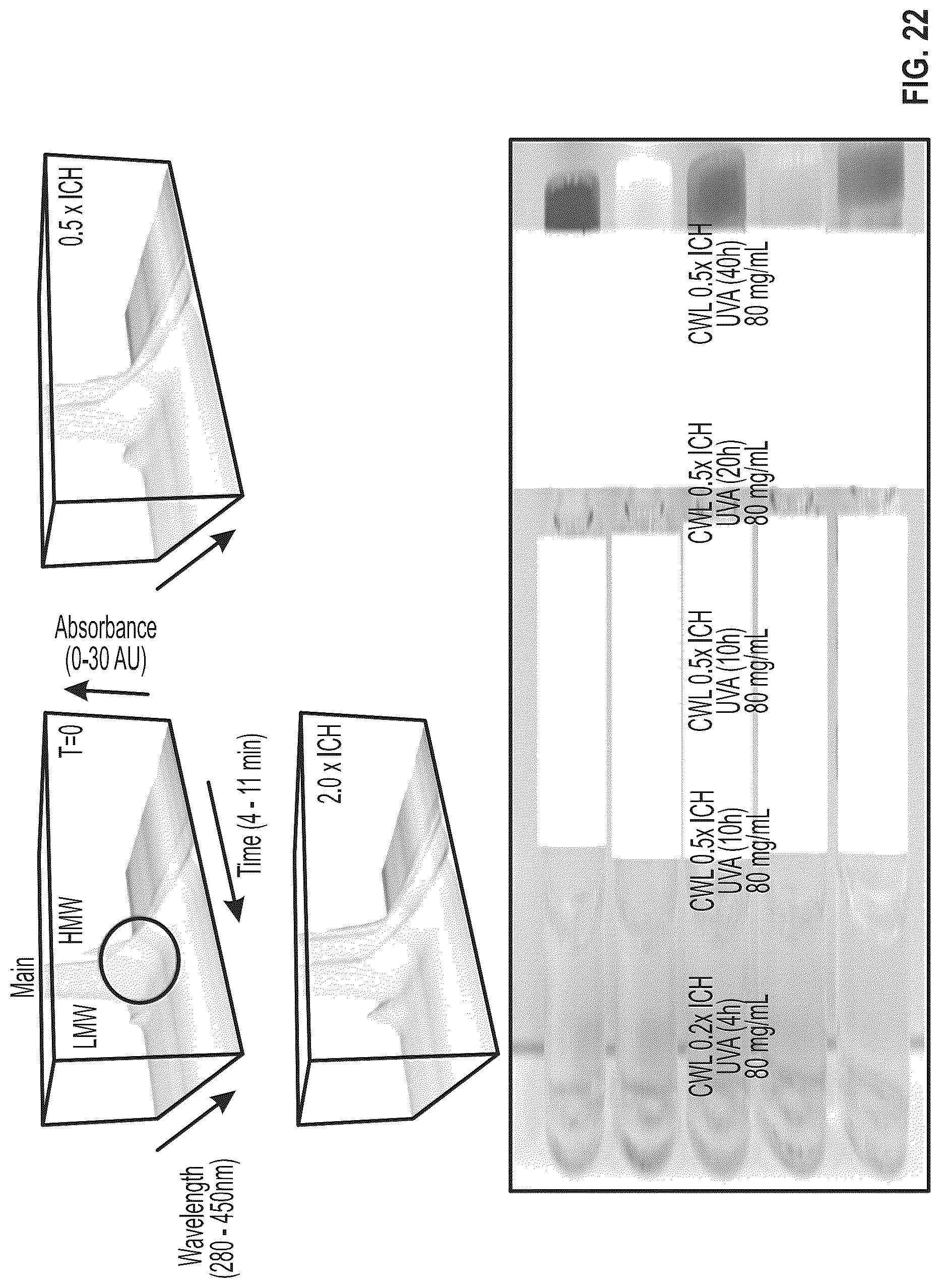 Patent US12319728 Figure 20 – Anti-VEGF protein compositions and methods for producing the same