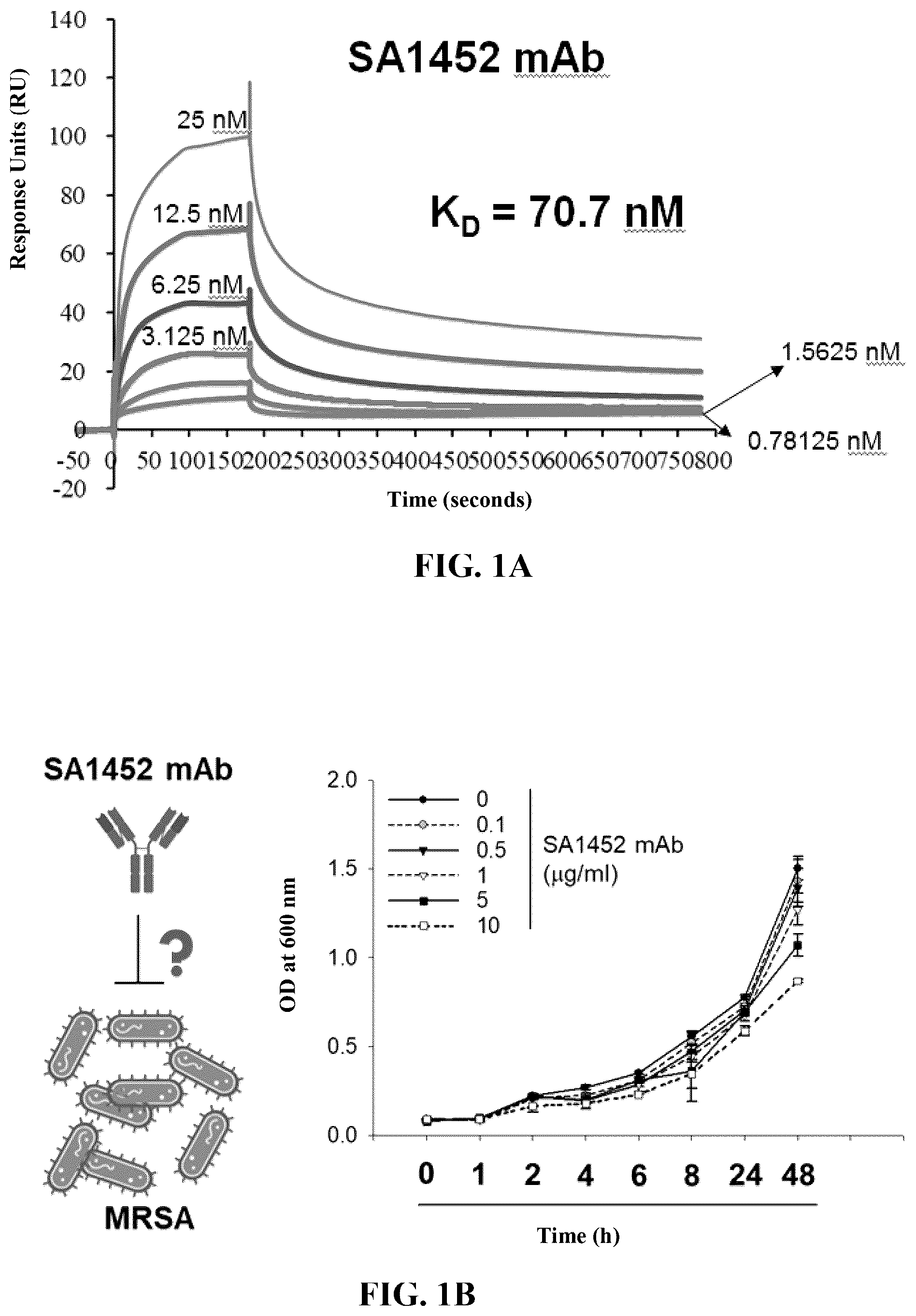 Patent US12319729 Figure 1 – Anti- Staphylococcus aureus specific antibody and nucleic acid encoding sequence thereof, and uses of the same