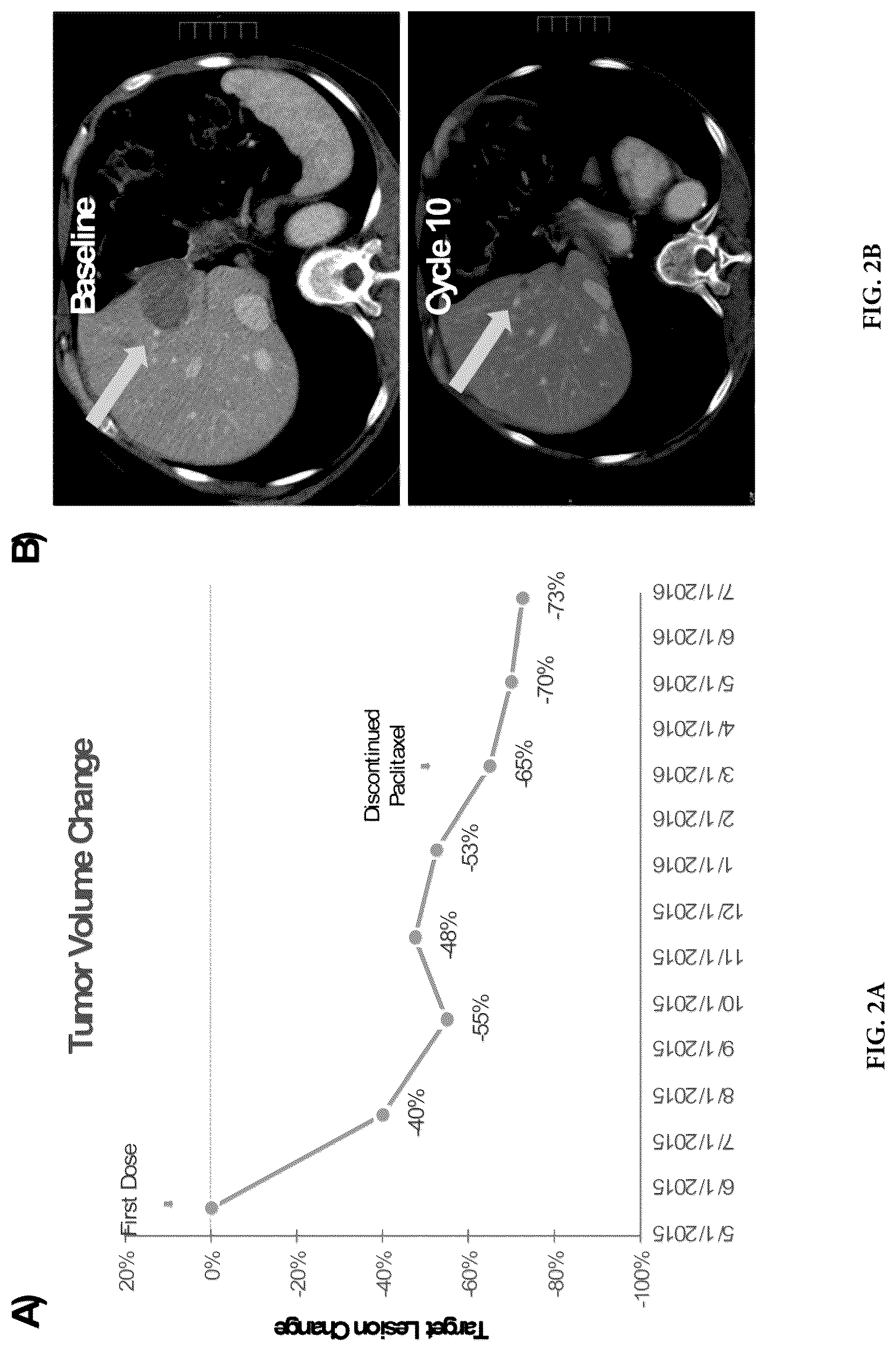 Patent US12319730 Figure 2 – Use of beta-catenin as a biomarker for treating cancers using anti-Dkk-1 antibody