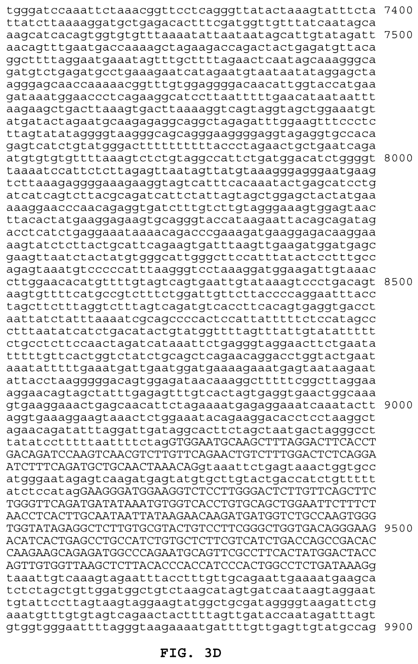 Patent US12319730 Figure 6 – Use of beta-catenin as a biomarker for treating cancers using anti-Dkk-1 antibody