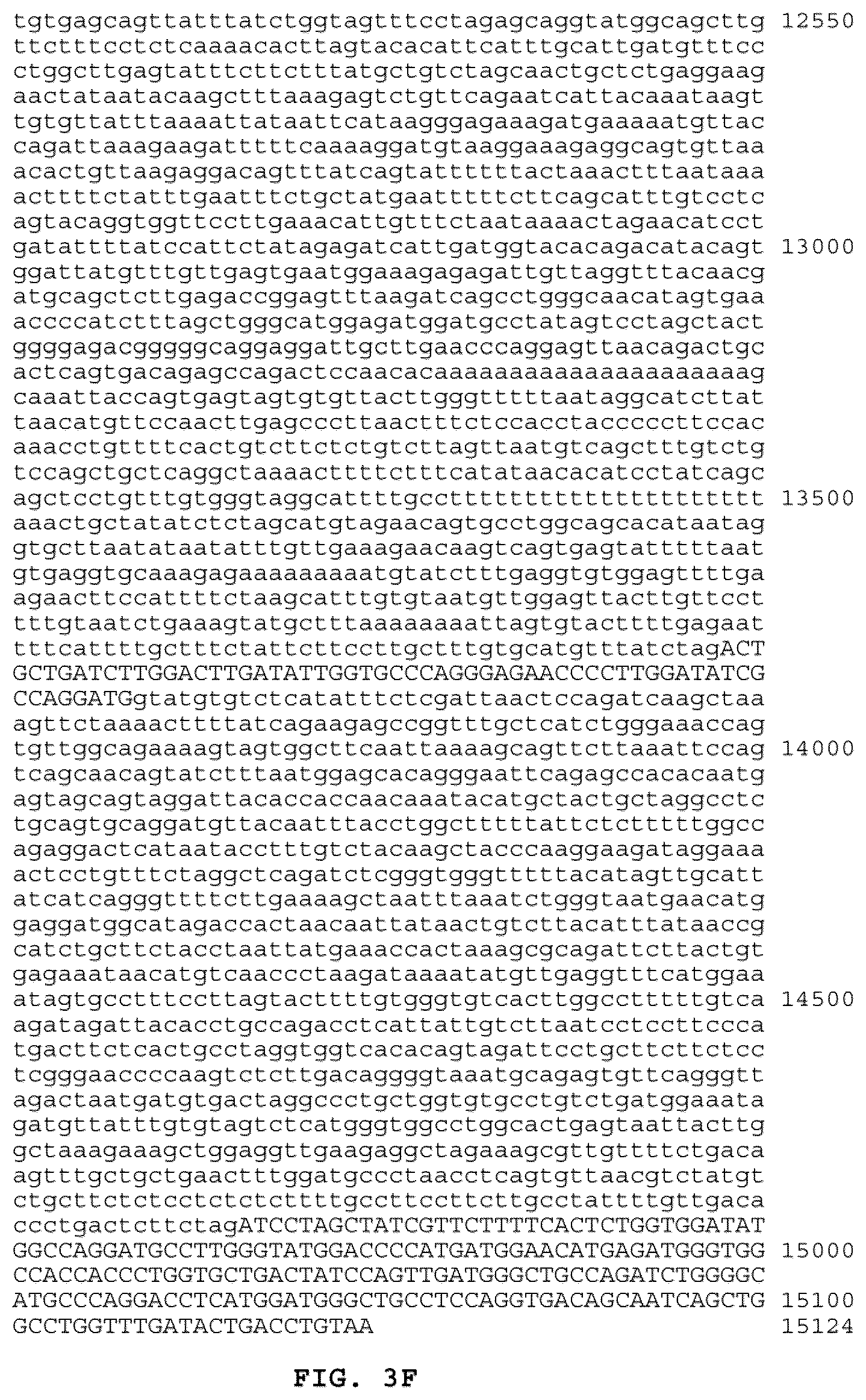 Patent US12319730 Figure 8 – Use of beta-catenin as a biomarker for treating cancers using anti-Dkk-1 antibody