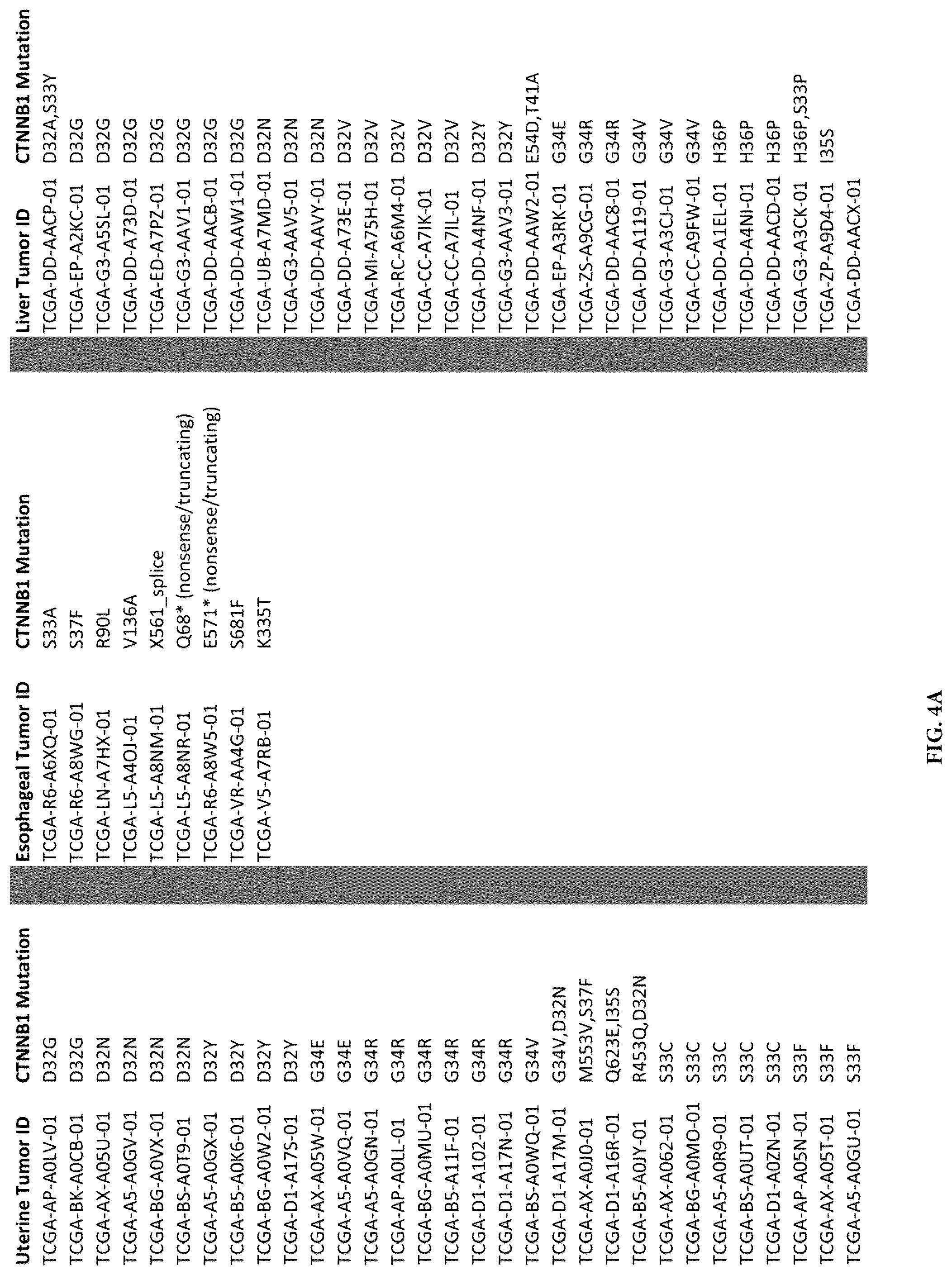 Patent US12319730 Figure 9 – Use of beta-catenin as a biomarker for treating cancers using anti-Dkk-1 antibody