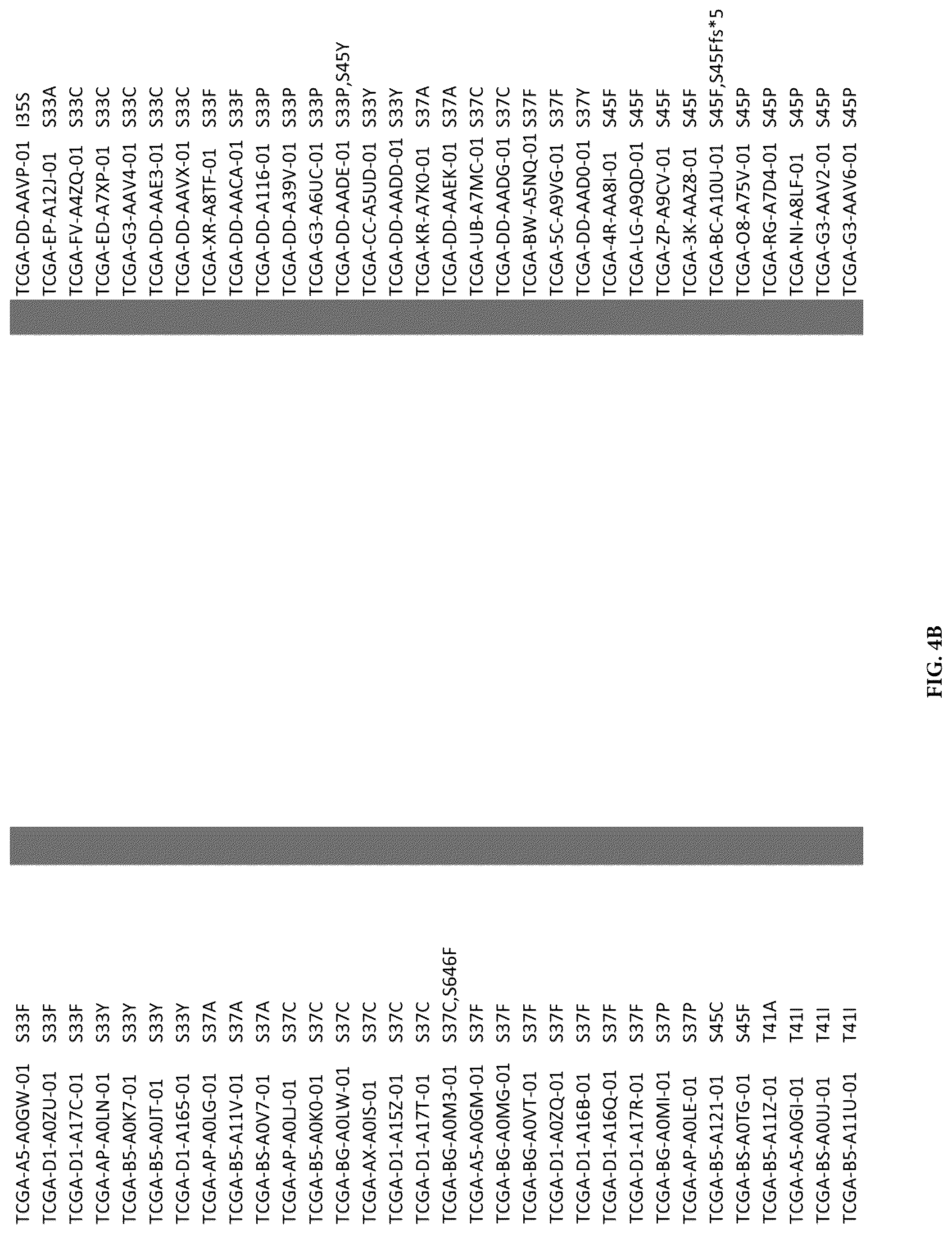 Patent US12319730 Figure 10 – Use of beta-catenin as a biomarker for treating cancers using anti-Dkk-1 antibody
