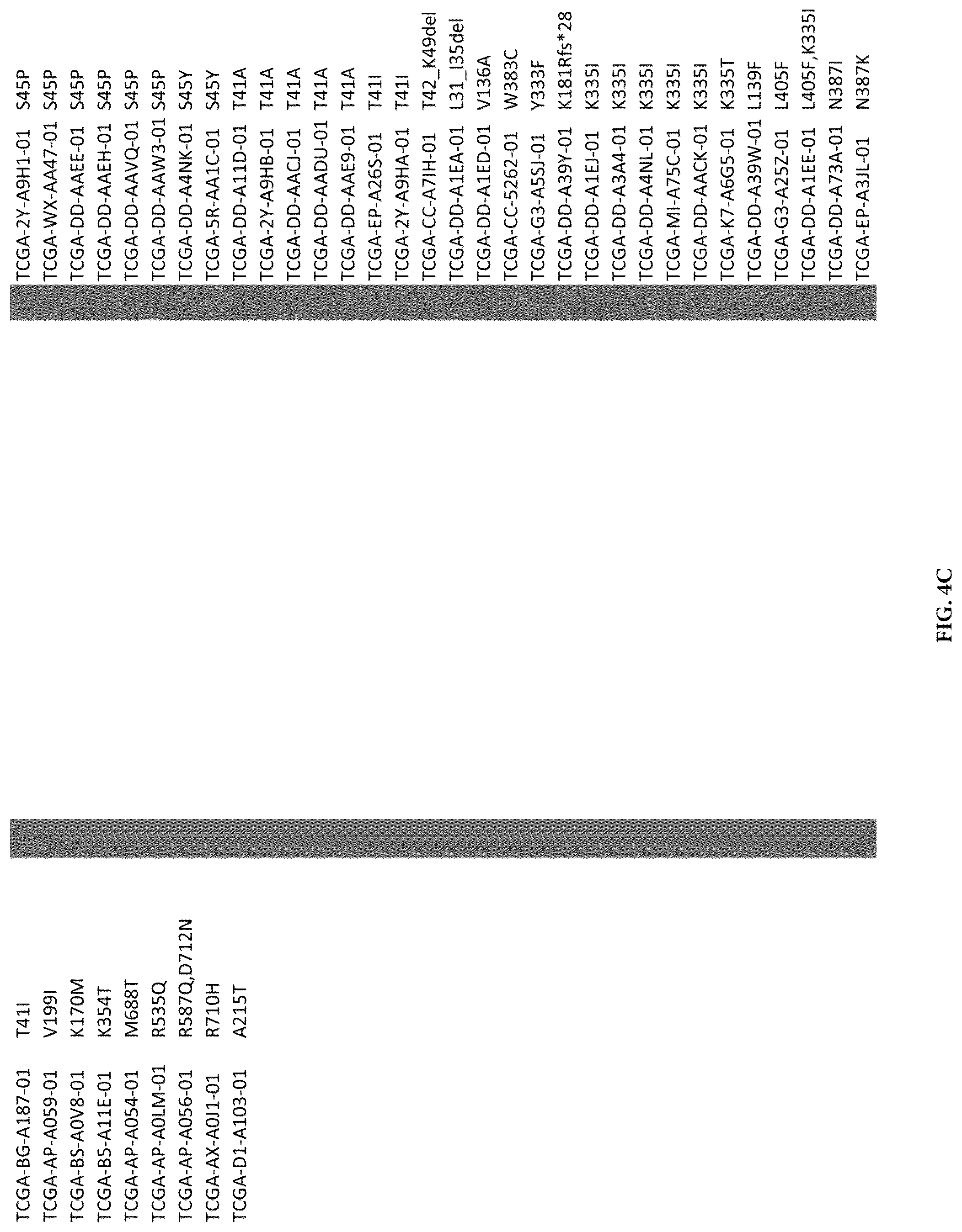 Patent US12319730 Figure 11 – Use of beta-catenin as a biomarker for treating cancers using anti-Dkk-1 antibody