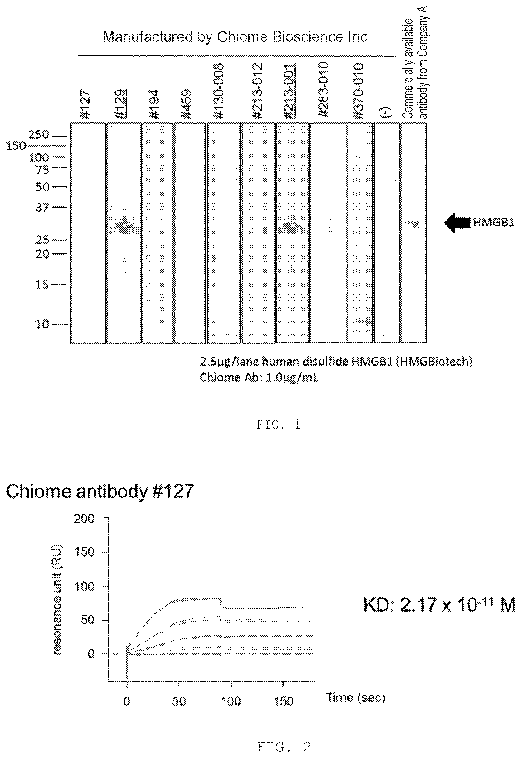 Patent US12319731 Figure 1 – Human monoclonal antibody binding specifically to human HMGB1, and pharmaceutical composition for treating or preventing Alzheimer's disease containing said human monoclonal antibody