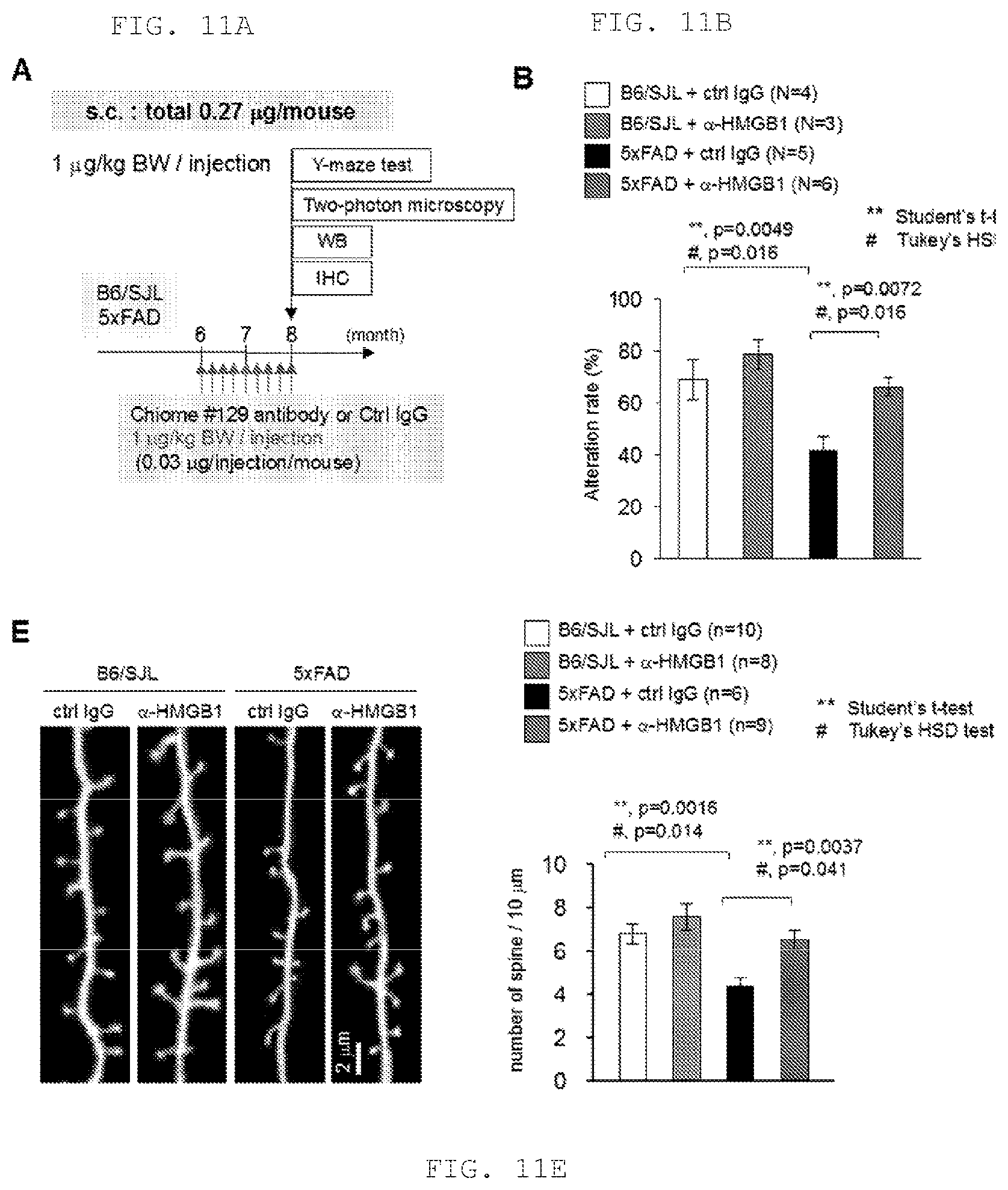 Patent US12319731 Figure 6 – Human monoclonal antibody binding specifically to human HMGB1, and pharmaceutical composition for treating or preventing Alzheimer's disease containing said human monoclonal antibody