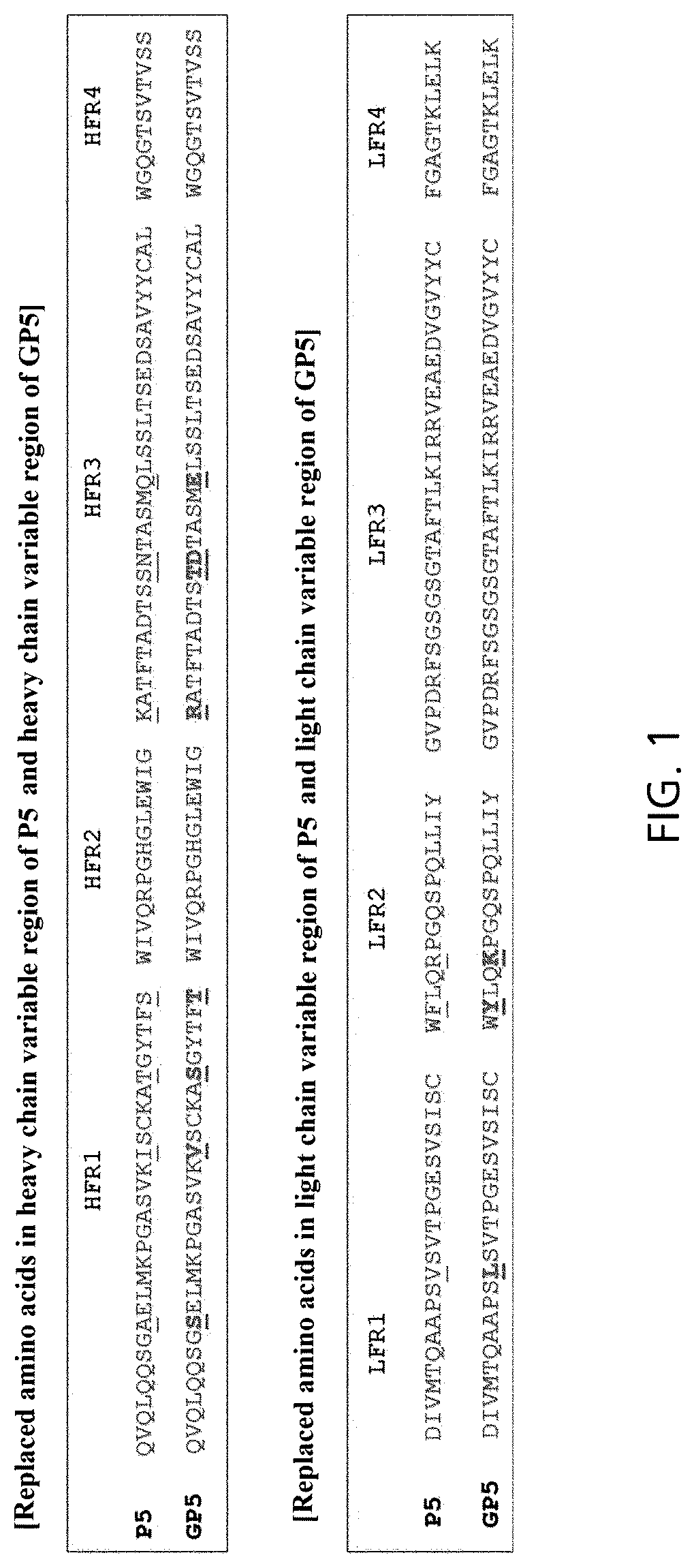 Patent US12319732 Figure 1 – Anti-beta 1 integrin humanized antibody, and pharmaceutical composition for treating cancer, comprising same
