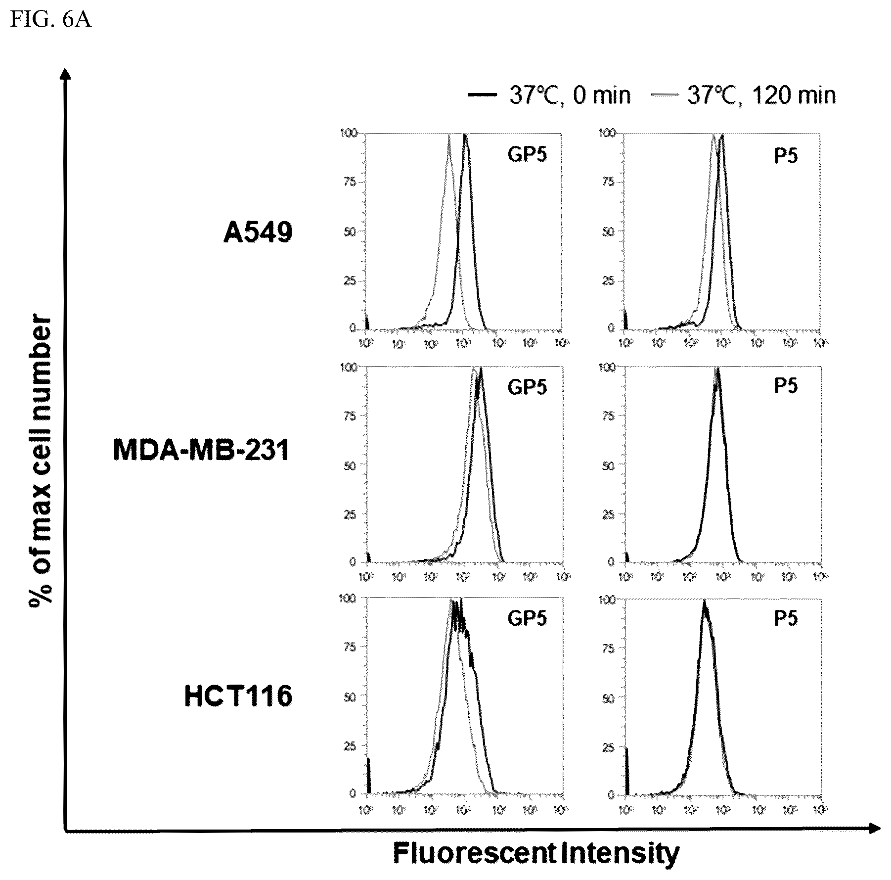 Patent US12319732 Figure 10 – Anti-beta 1 integrin humanized antibody, and pharmaceutical composition for treating cancer, comprising same